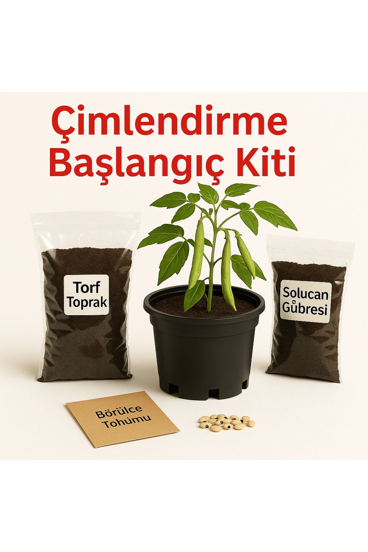 Bağ bahçe Fidan Börülce Çimlendirme Başlangıç Kiti – Saksılı, Topraklı, Organik Tohumlu Set