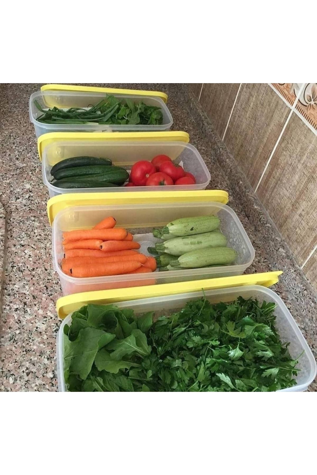 Tupperware 4 Adet 6.1 Lt Sera.