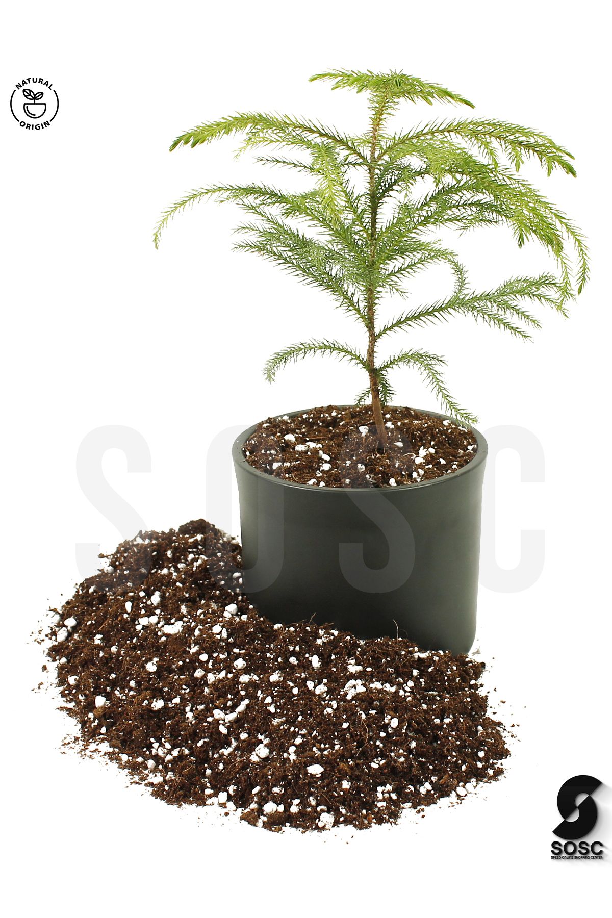 SOSC SUBSTRAT LIGHT MIX Ithal Torf Cocopeat Perlit Özel Karışım Saksı Harcı Çiçek Ve Bitki Toprağı 3 LT