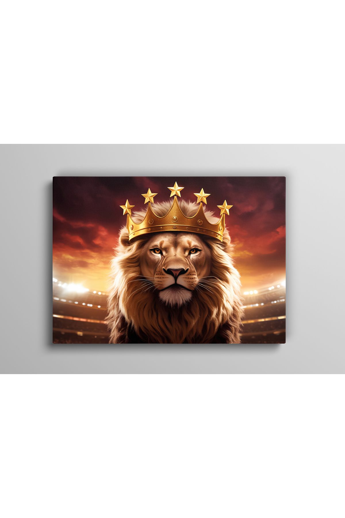 Evlika Galatasaray Aslan 5 Yıldızlı Kanvas Tablo 1
