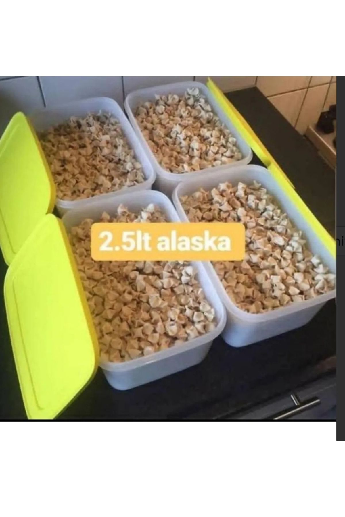 Tupperware Alaska 4 Adet 2.5 LT.