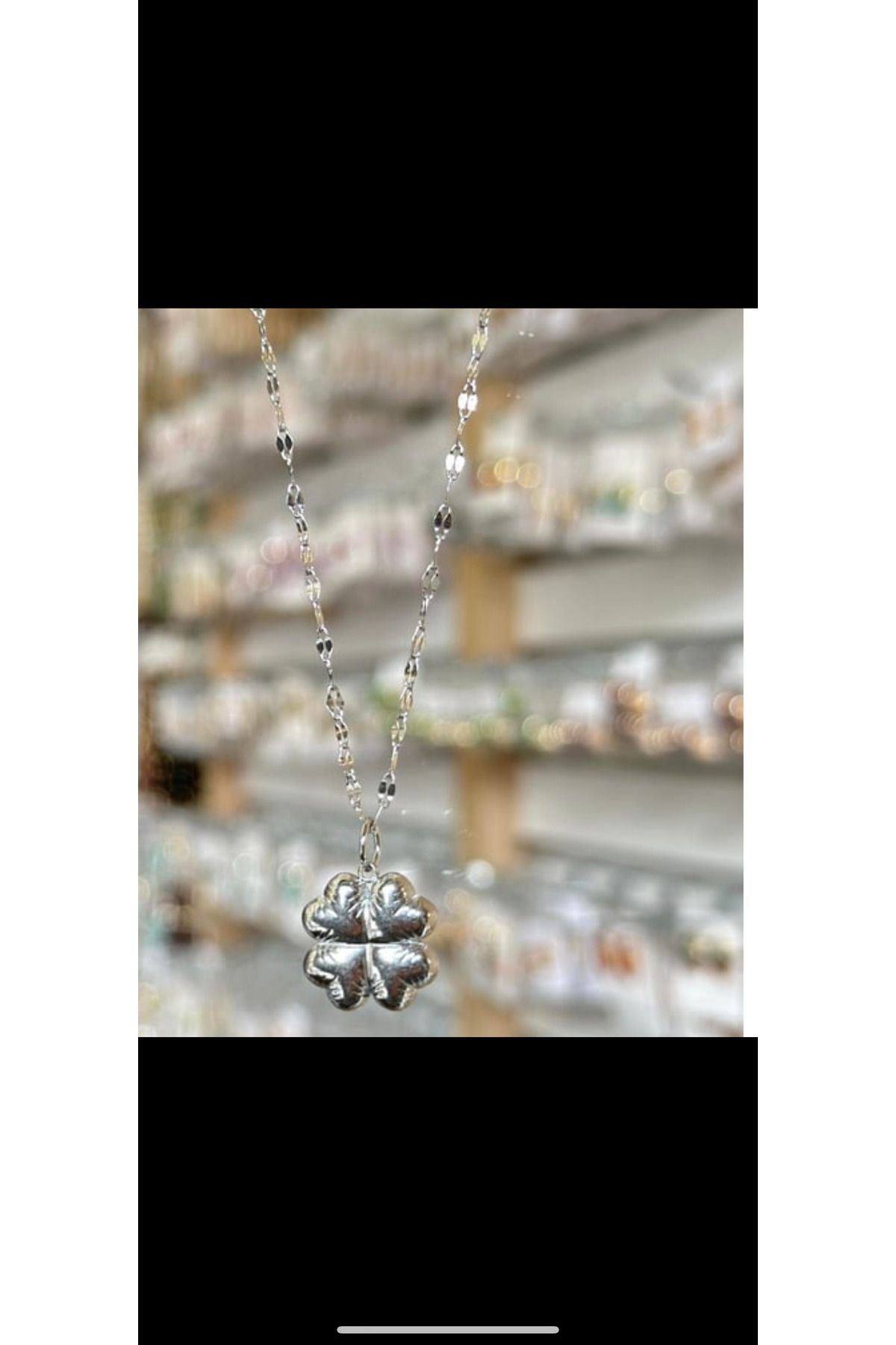 stainless steell Çelik Silver Kolye