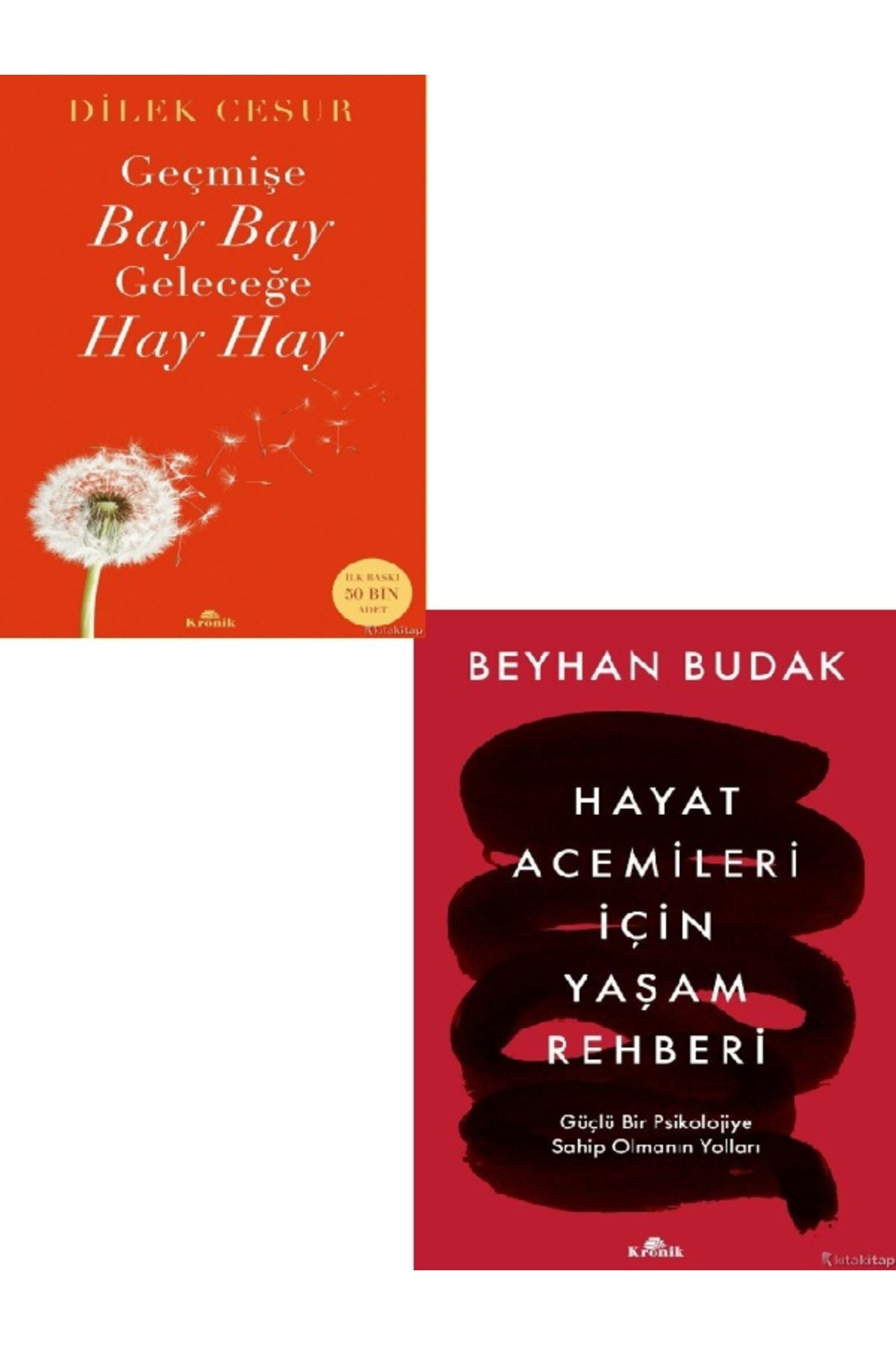 Kronik Kitap Geçmişe Bay Bay, Geleceğe Hay Hay-Hayat Acemileri İçin Yaşam Rehberi 2 KİTAP (ÜCRETSİZ KARGO)