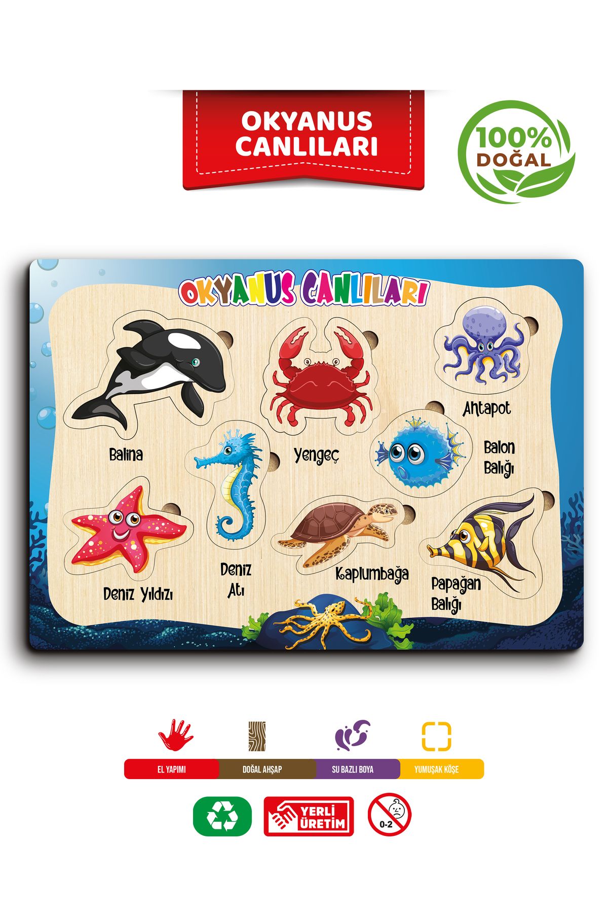 TIME TABLE ahşap eğitici öğretici sevimli DENİZ HAYVANLARI HAYVANLARI öğreniyorum
