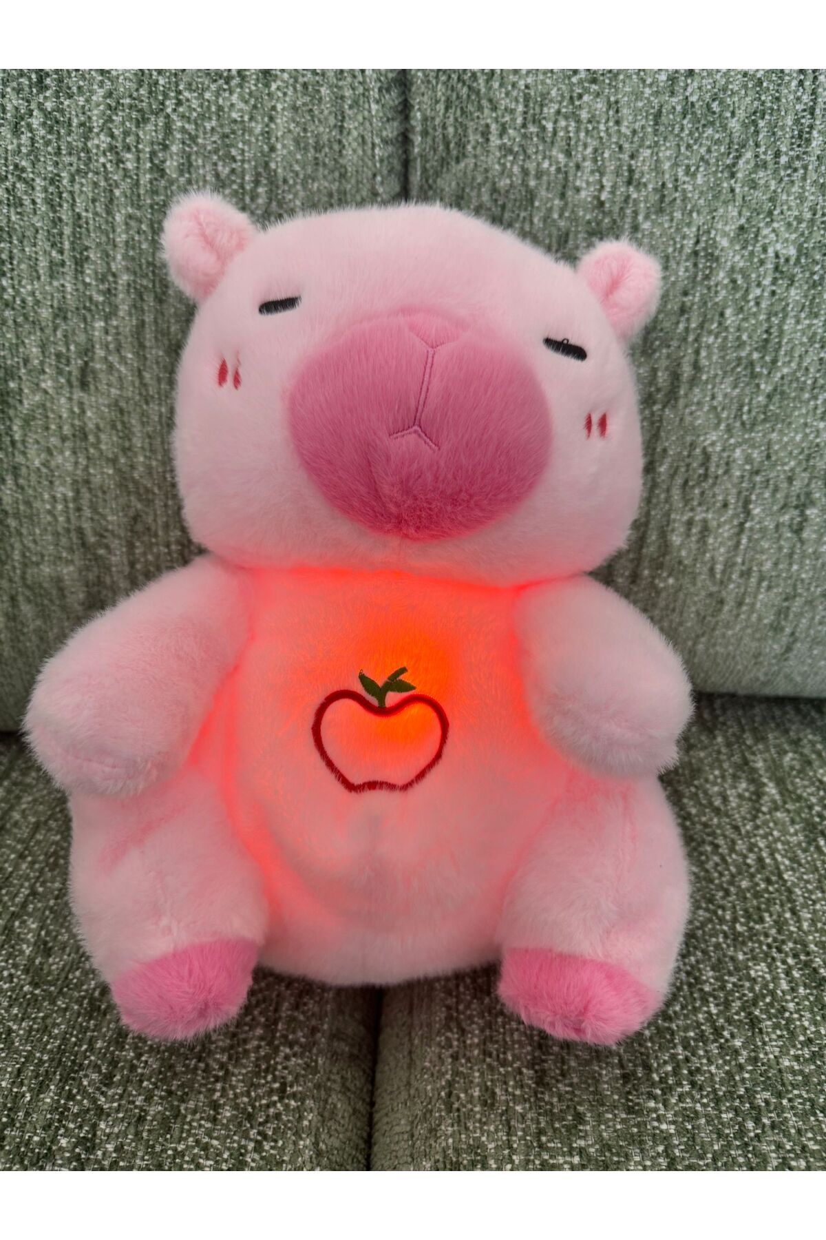 NUREYY AKSESUAR nefes alan peluş uyku arkadaşı capybara peluş hediyelik