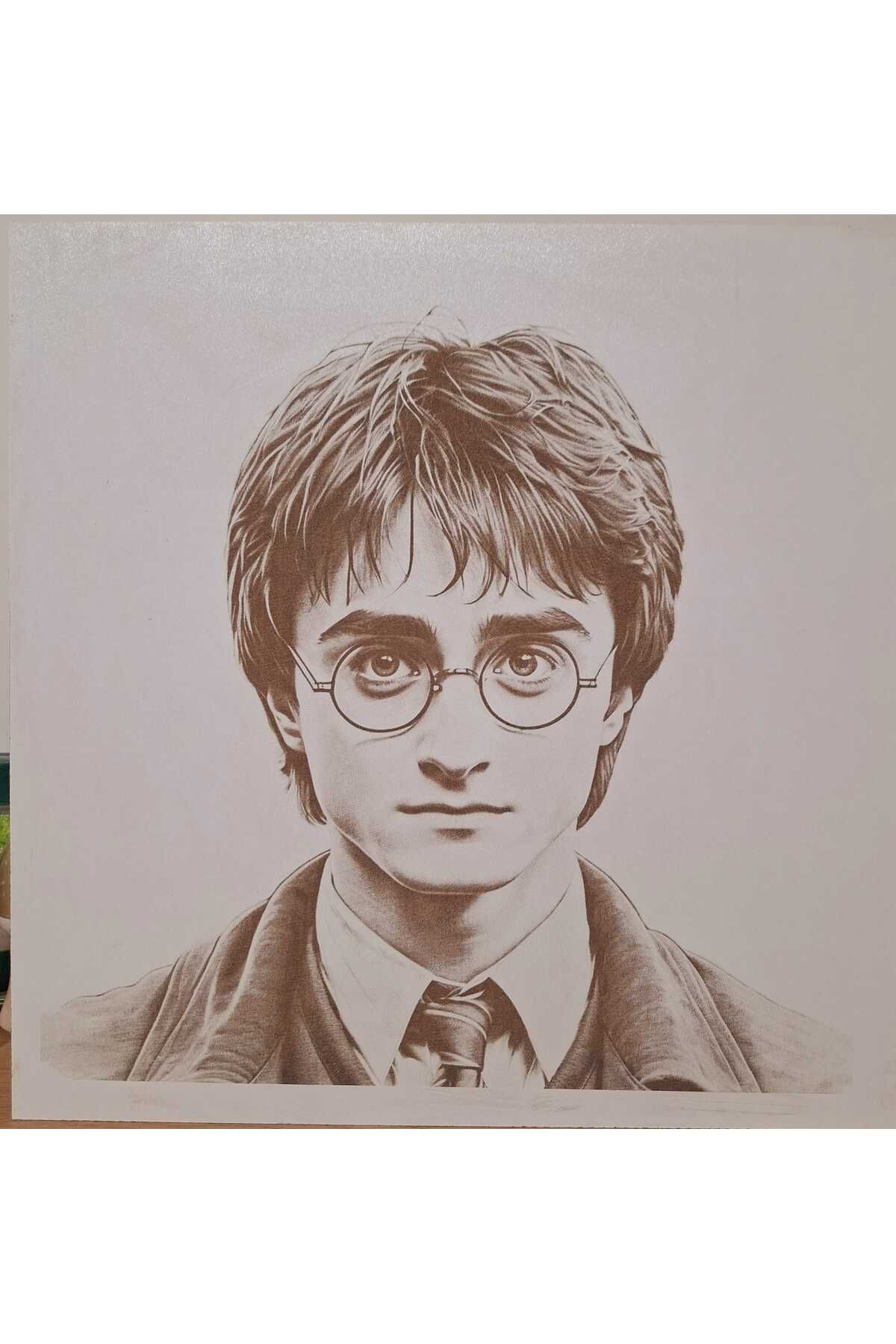 LavanTasarım Lavanta Tasarım Harry Potter Portre Duvar Düsü