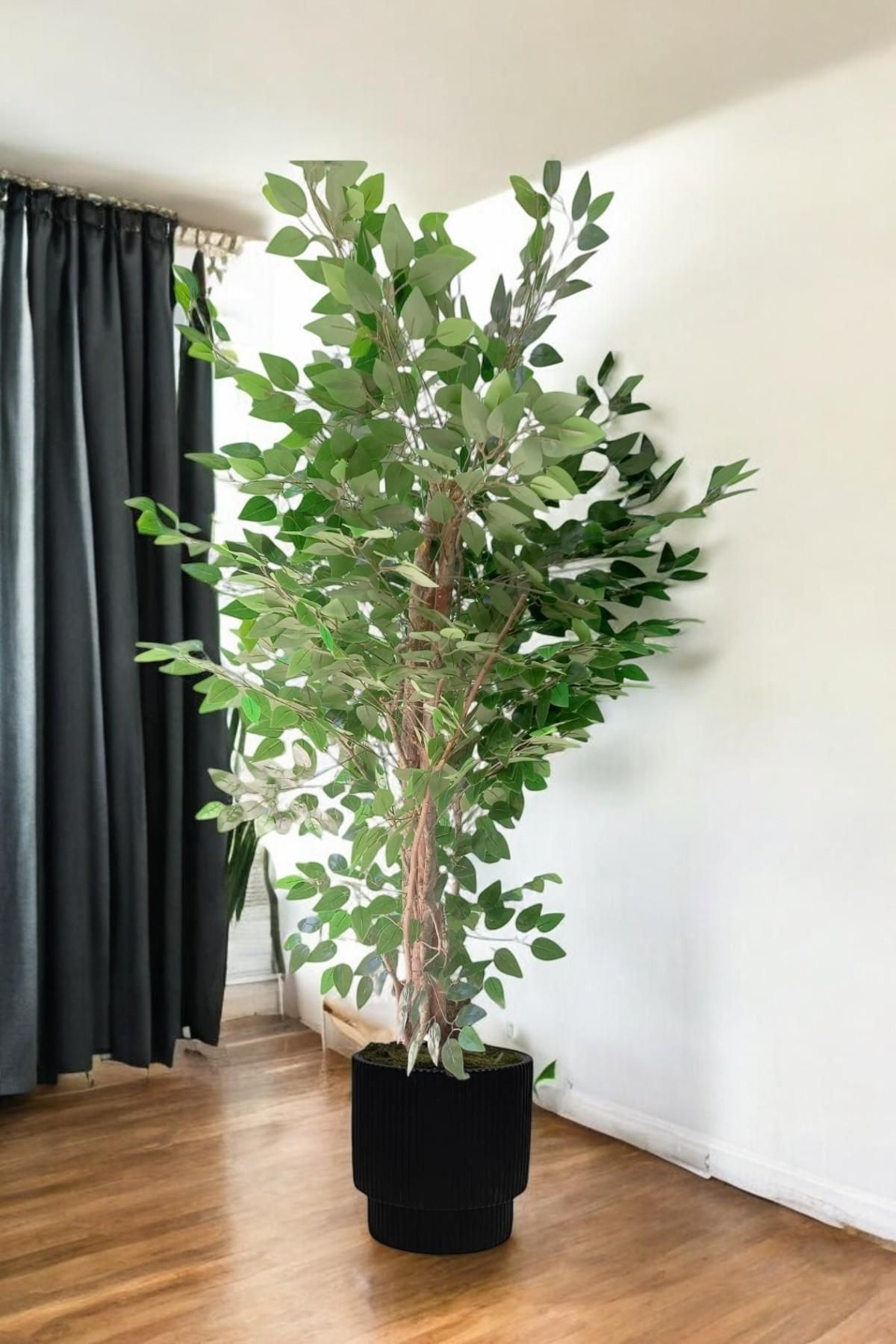 florayapaycicekcom Yapay Agaç 180 Cm Islak Doku Benjamin vega saksı