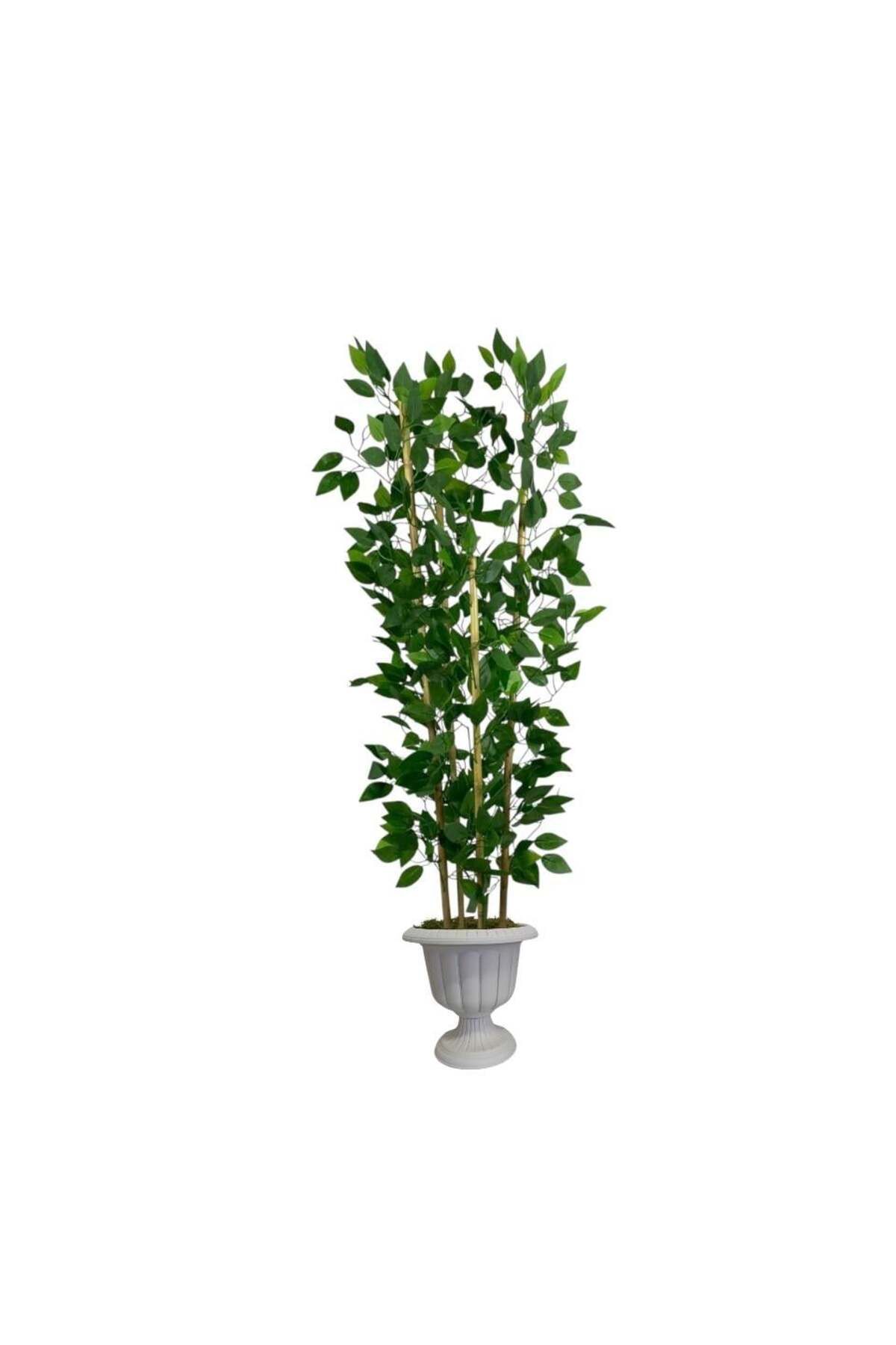 florayapaycicekcom 150 cm benjamin yapay ağaç bambu 5 gövdeli nergiz saksı