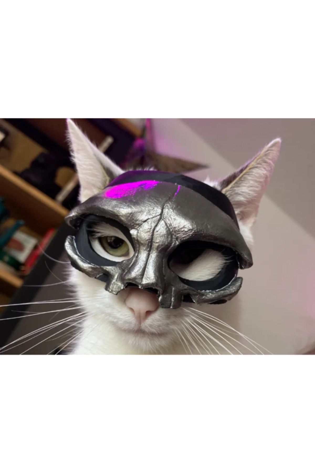 3d model s Catulus V – Ghost Band Papa V Kedi Maskesi - Özgün Tasarım 3D Baskı
