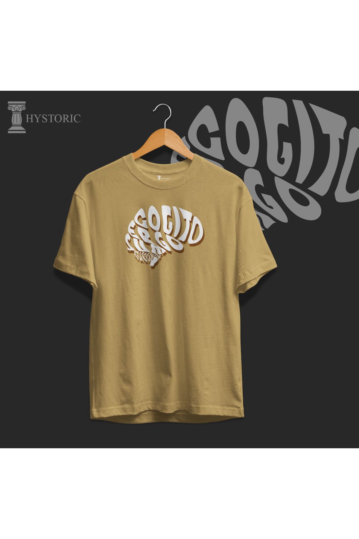 Hystoric Wear Descartes Baskılı Basic Tişört