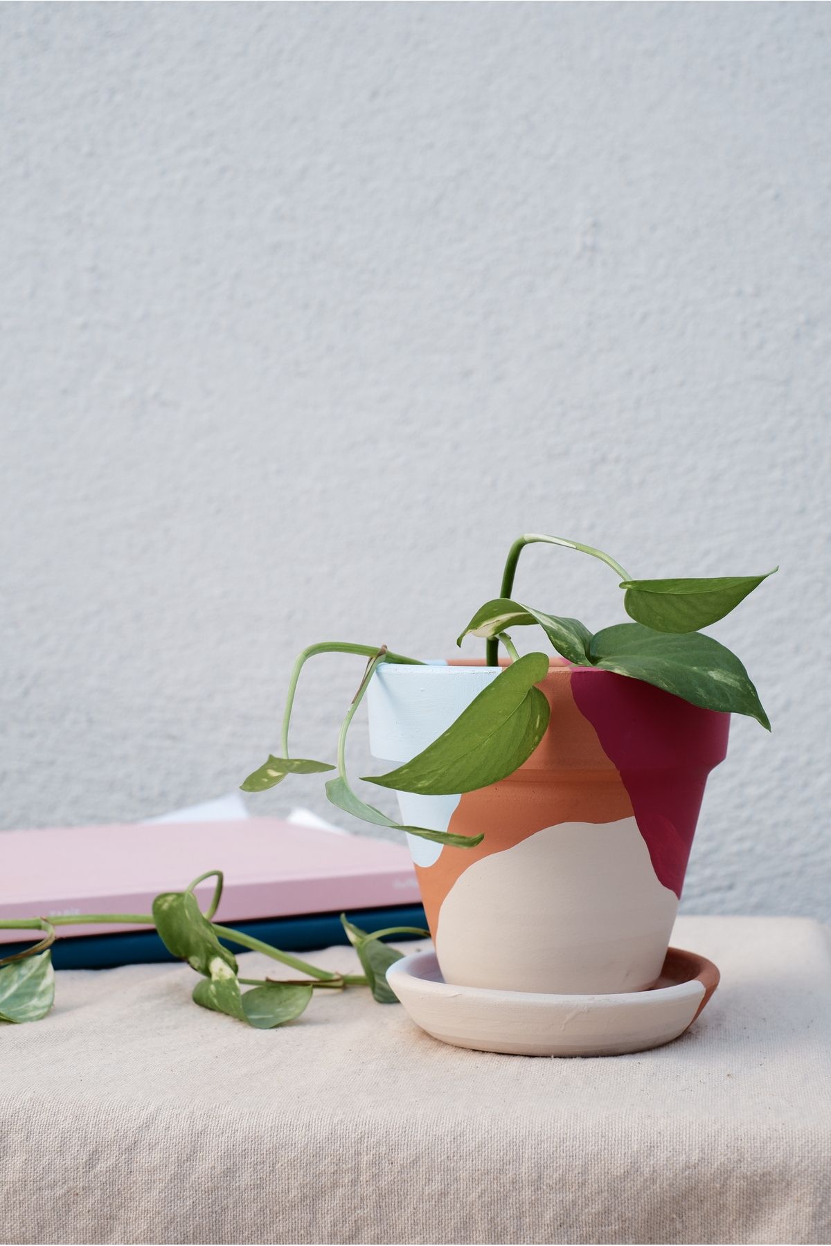 zef design store Terracotta Konik Saksı+Tabak • Vişne Mavi • 3 Farklı Boy Seçeneğiyle (Küçük Orta Büyük)