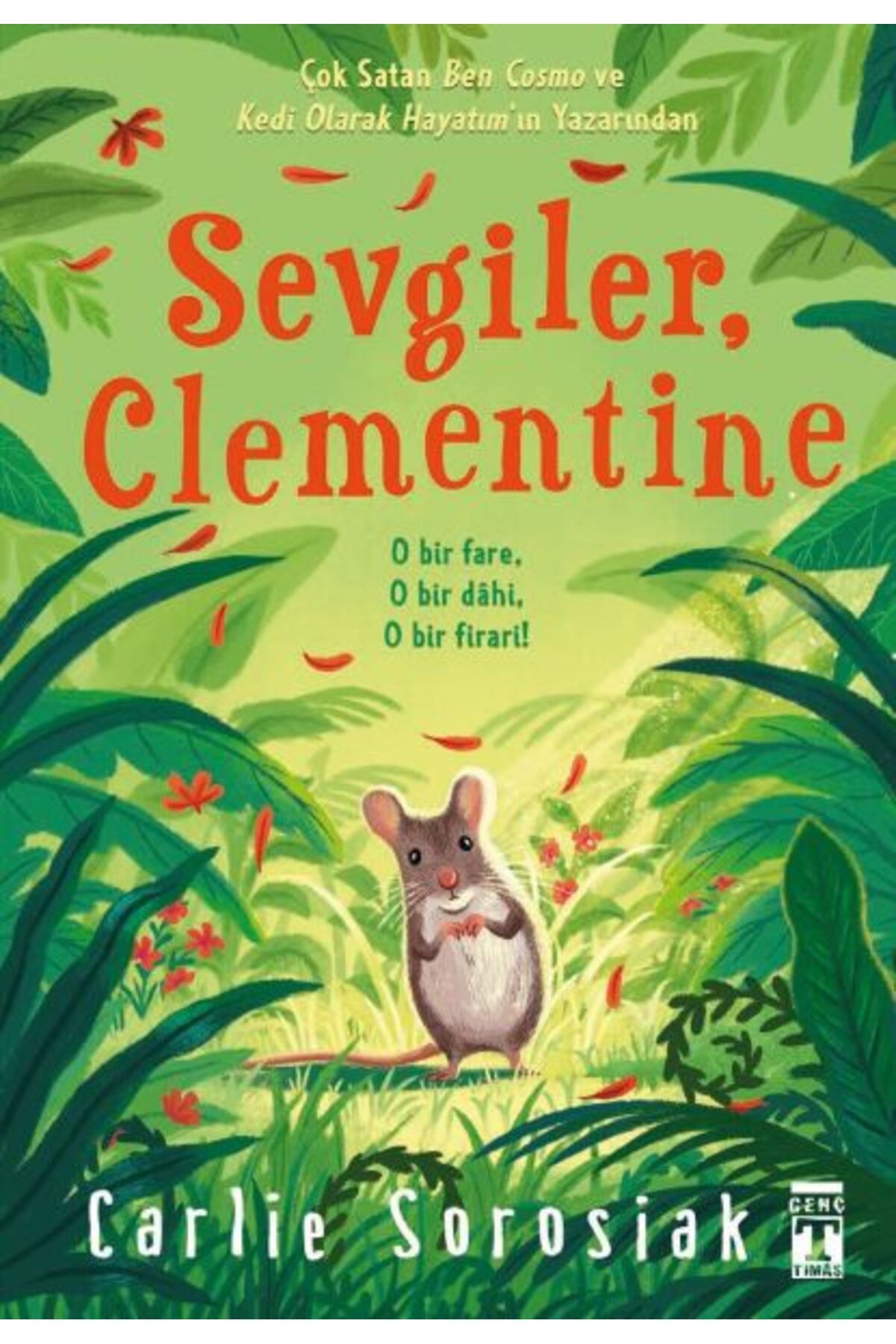 Destek Yayınları Sevgiler Clementine