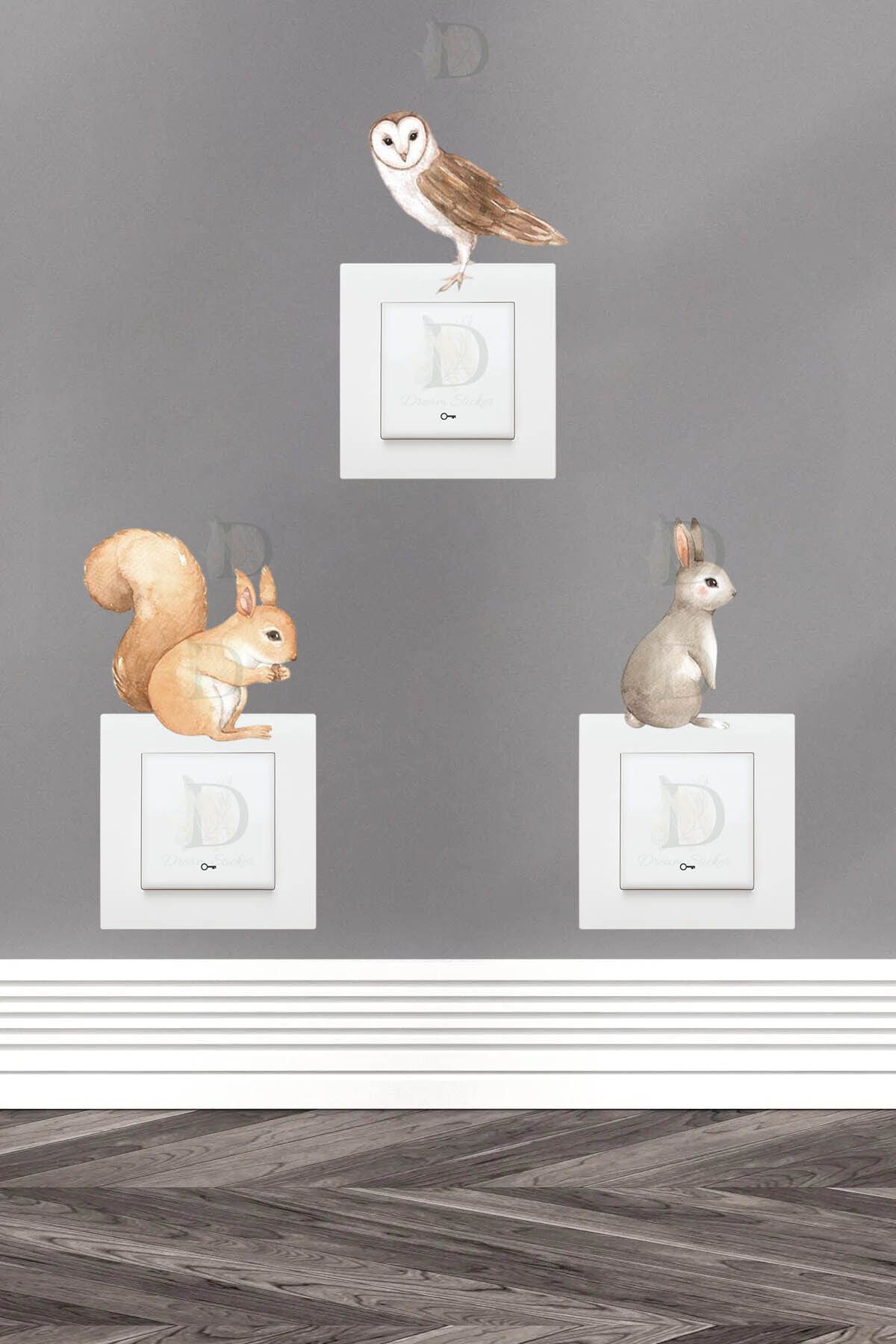 KT Decor Sevimli Hayvanlar Sulu Boya 3'lü Priz Sticker Seti