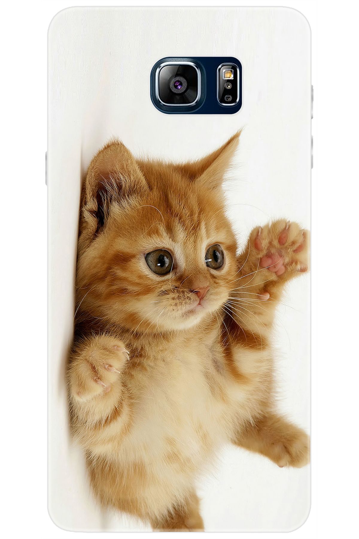 Ceppare Samsung Galaxy Note 5 (SM-N910F) Uyumlu Kılıf Desenli Silikon Sevimli Kedi STK:205 CP-3X6bh75