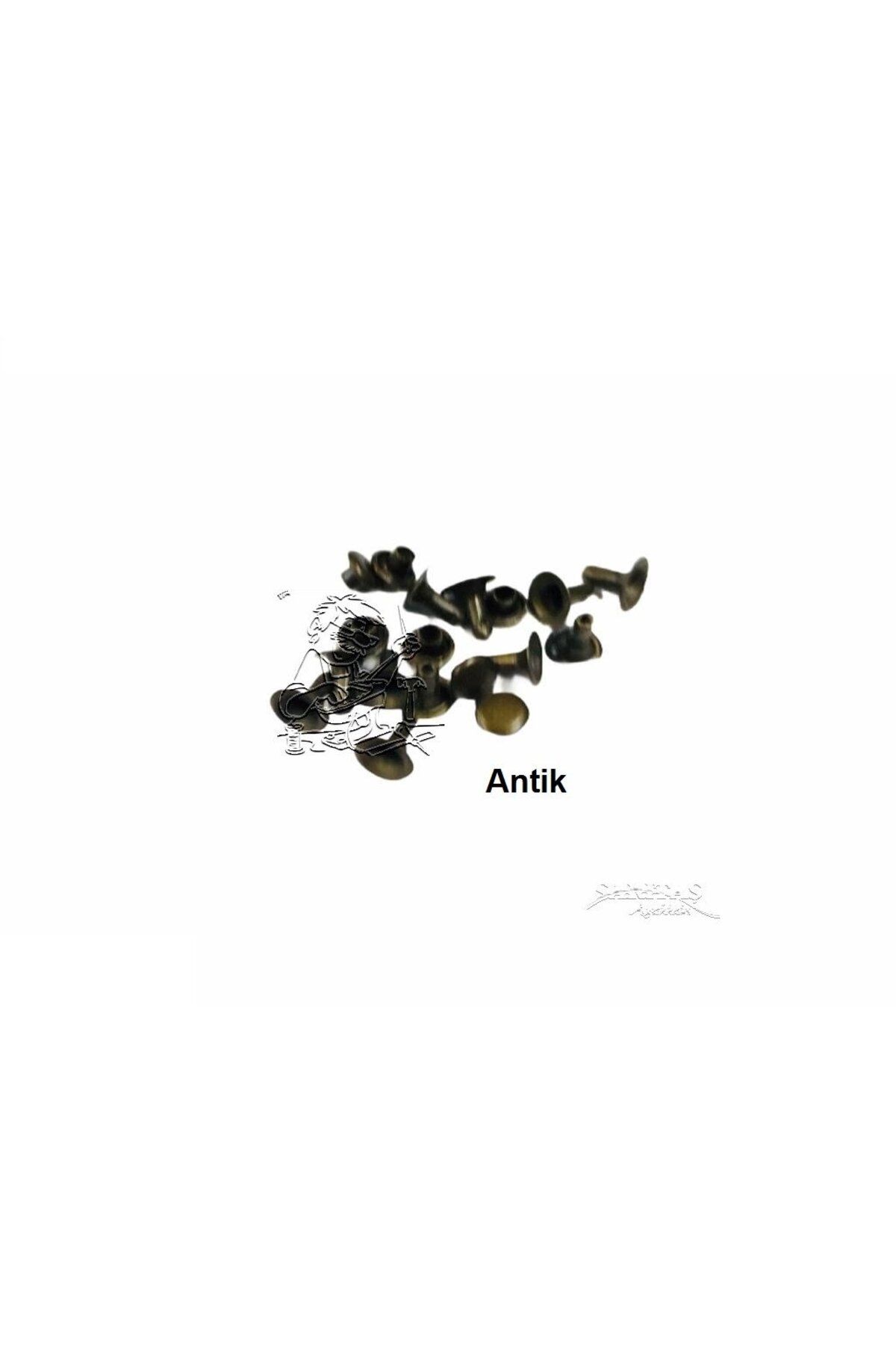 srtfootcare Perçin Rivet 0 no 6mm 150 Takım (Leathercraft, Deri Hobi)