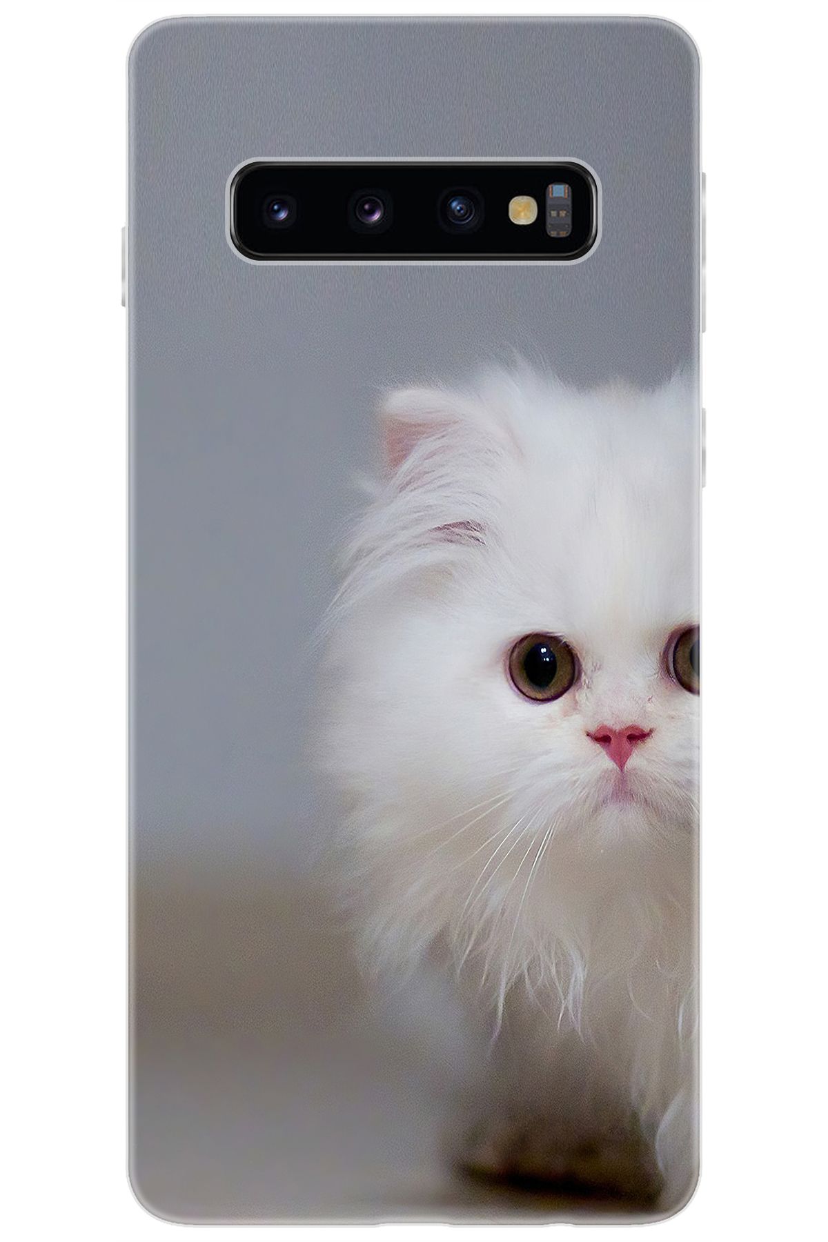 Ceppare Samsung Galaxy S10 (SM-G973F) Uyumlu Kılıf Desen Baskılı Silikon Beyaz Kedi STK:139 CP-0QqoLCb