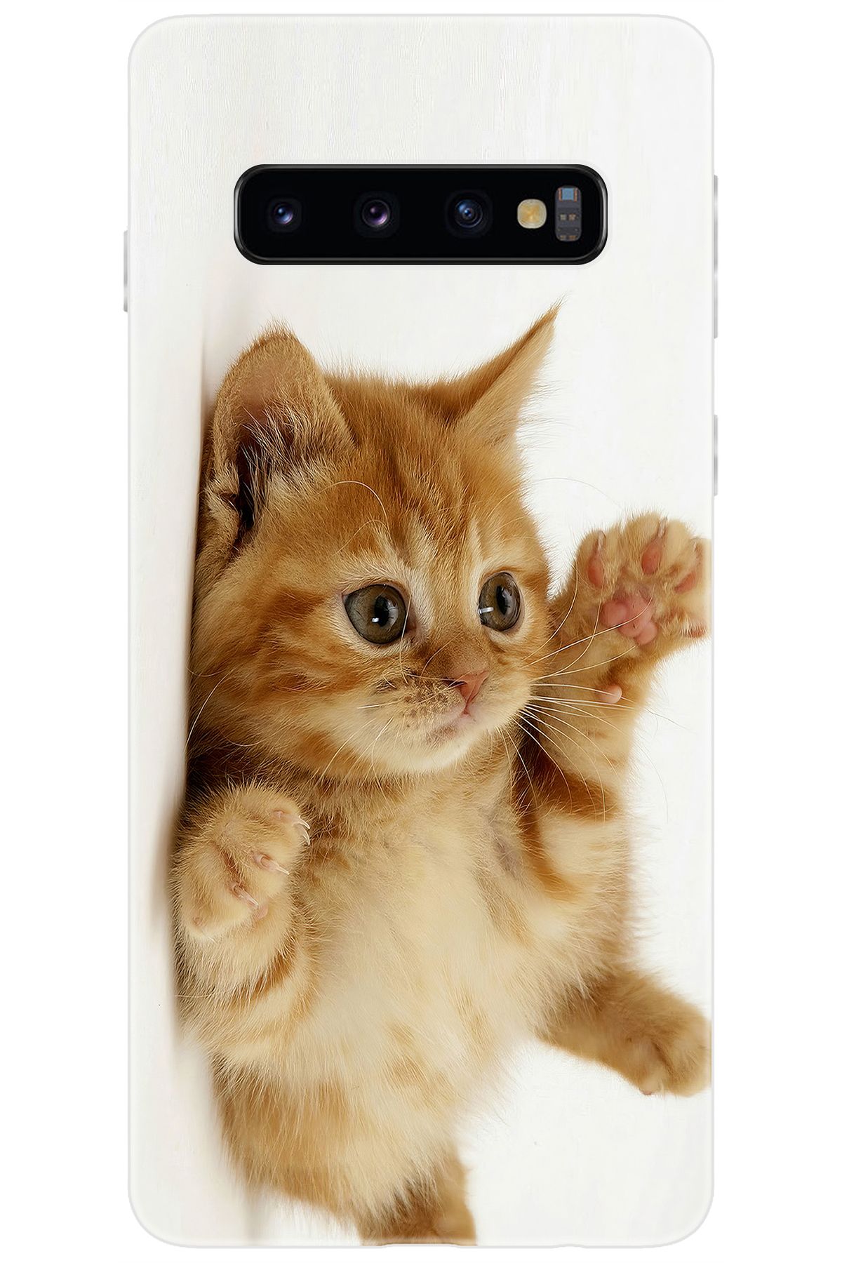 Ceppare Samsung Galaxy S10 (SM-G973F) Uyumlu Kılıf Desen Baskılı Silikon Sevimli Kedi STK:205 CP-FhqmS9R