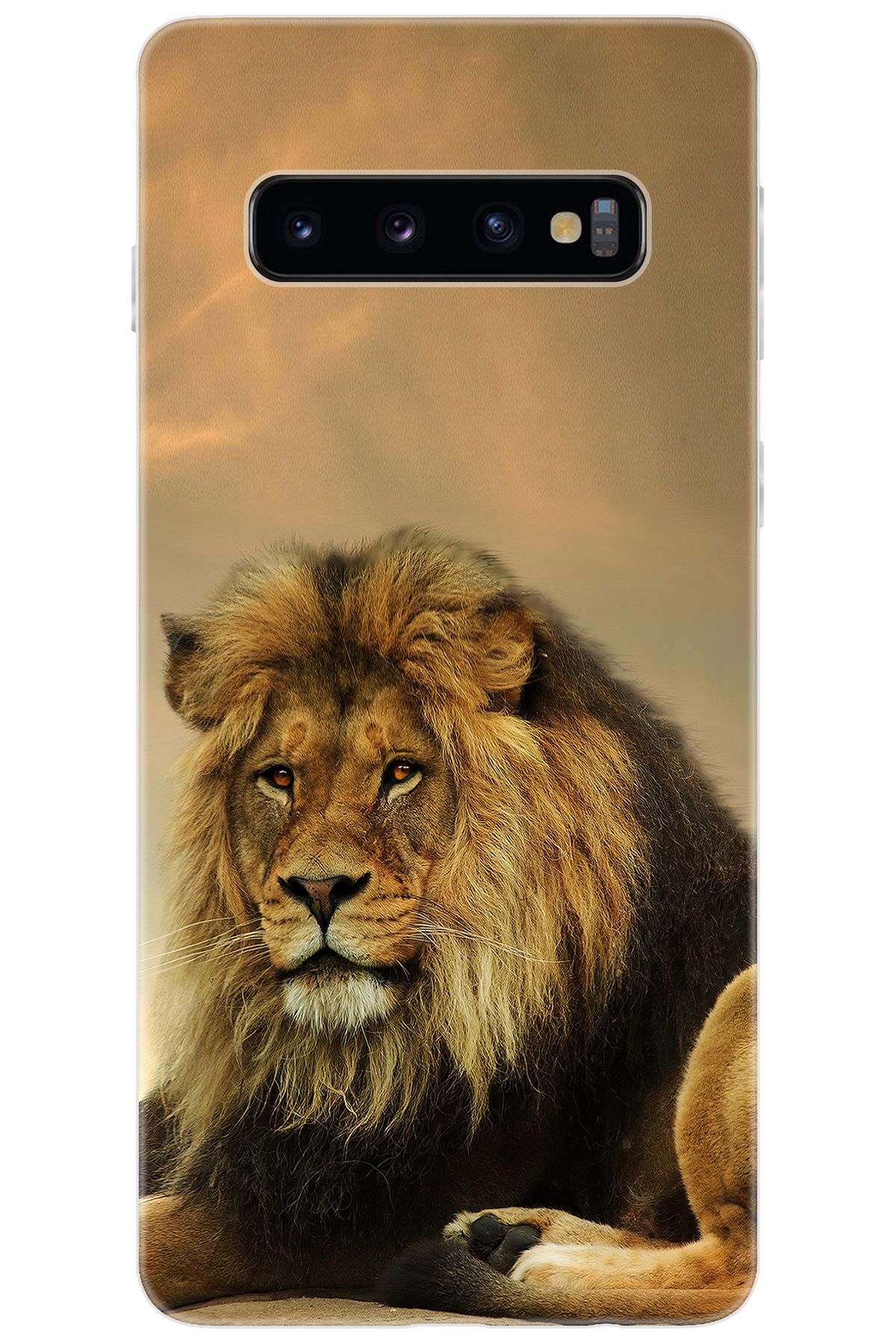 Ceppare Samsung Galaxy S10 (SM-G973F) Uyumlu Kılıf Desen Baskılı Silikon Kral Aslan STK:207 CP-xAY5FLs