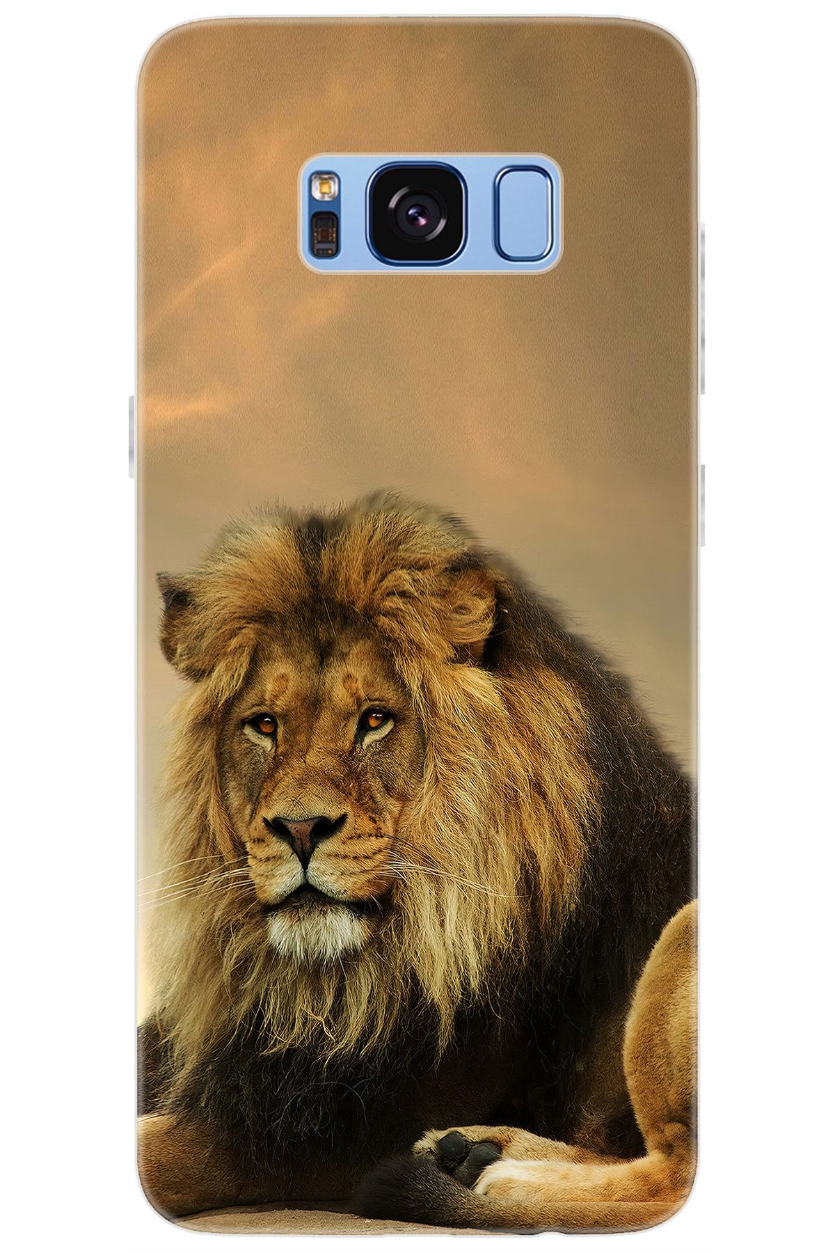 Ceppare Samsung Galaxy S8 (SM-G950F) Uyumlu Kılıf Desen Baskılı Silikon Kral Aslan STK:207 CP-cVm5xPT