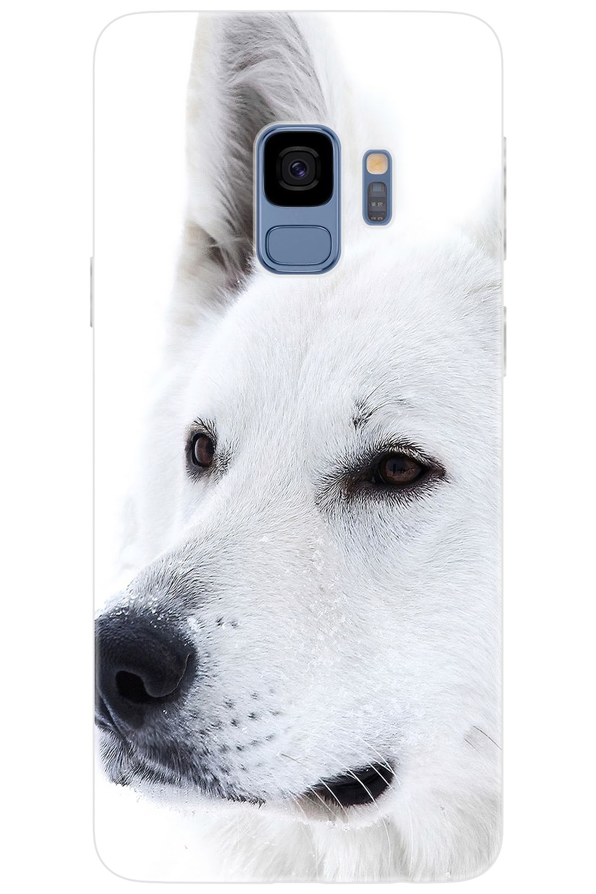 Ceppare Samsung Galaxy S9 (SM-G960F) Uyumlu Kılıf Desen Baskılı Silikon Beyaz Kurt STK:169 CP-VsOFJIp