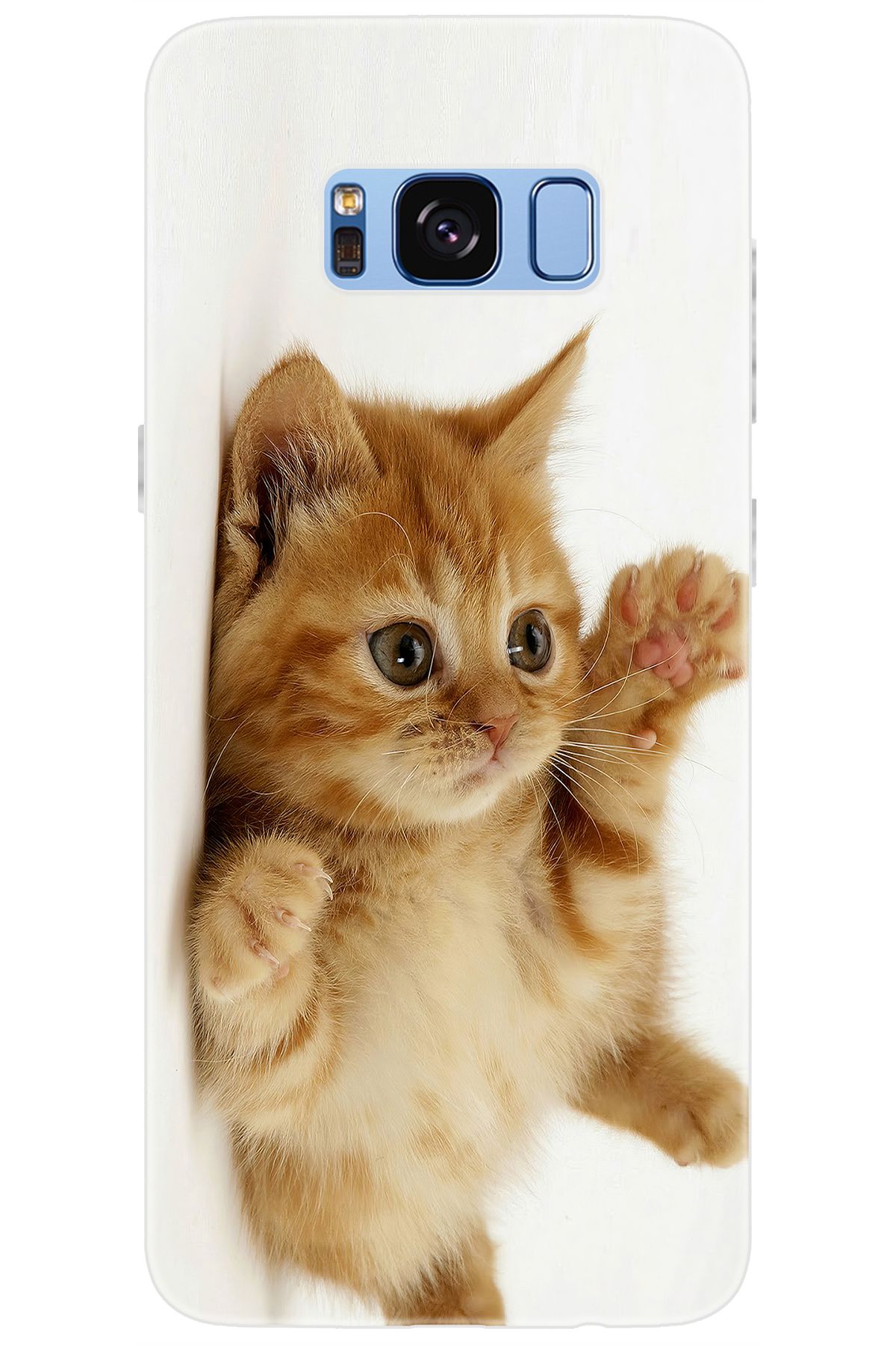 Ceppare Samsung Galaxy S8 (SM-G950F) Uyumlu Kılıf Desen Baskılı Silikon Sevimli Kedi STK:205 CP-qbUZIAu