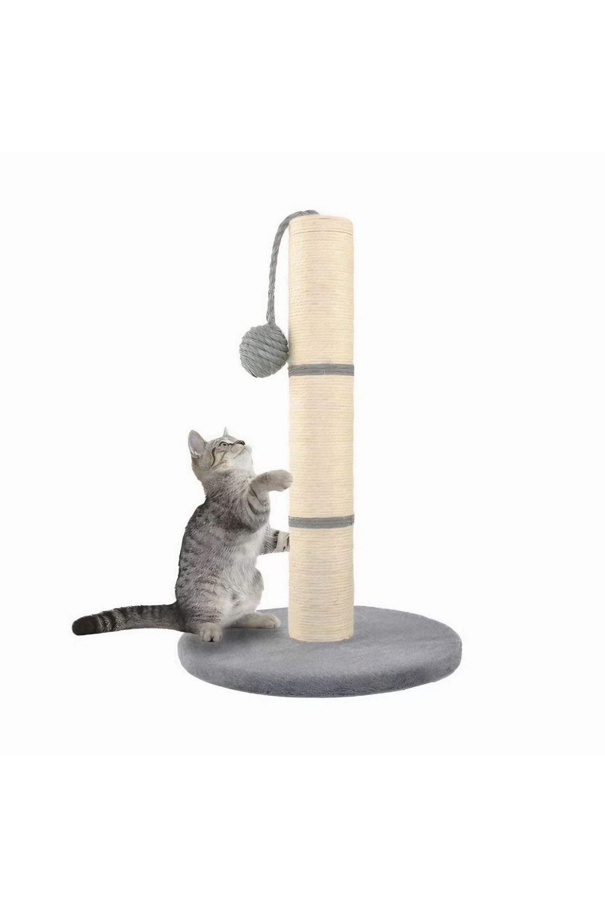 varioshop-VarioShop® sharp claw holder and cat toy, pole with string and ball, with function to 1