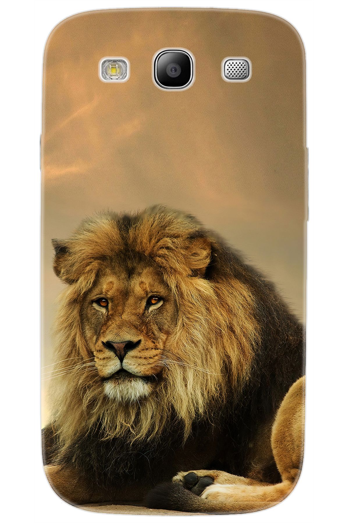 Ceppare Samsung Galaxy S3 (GT-I9300) Uyumlu Kılıf Desen Baskılı Silikon Kral Aslan STK:207 CP-MXqbak6