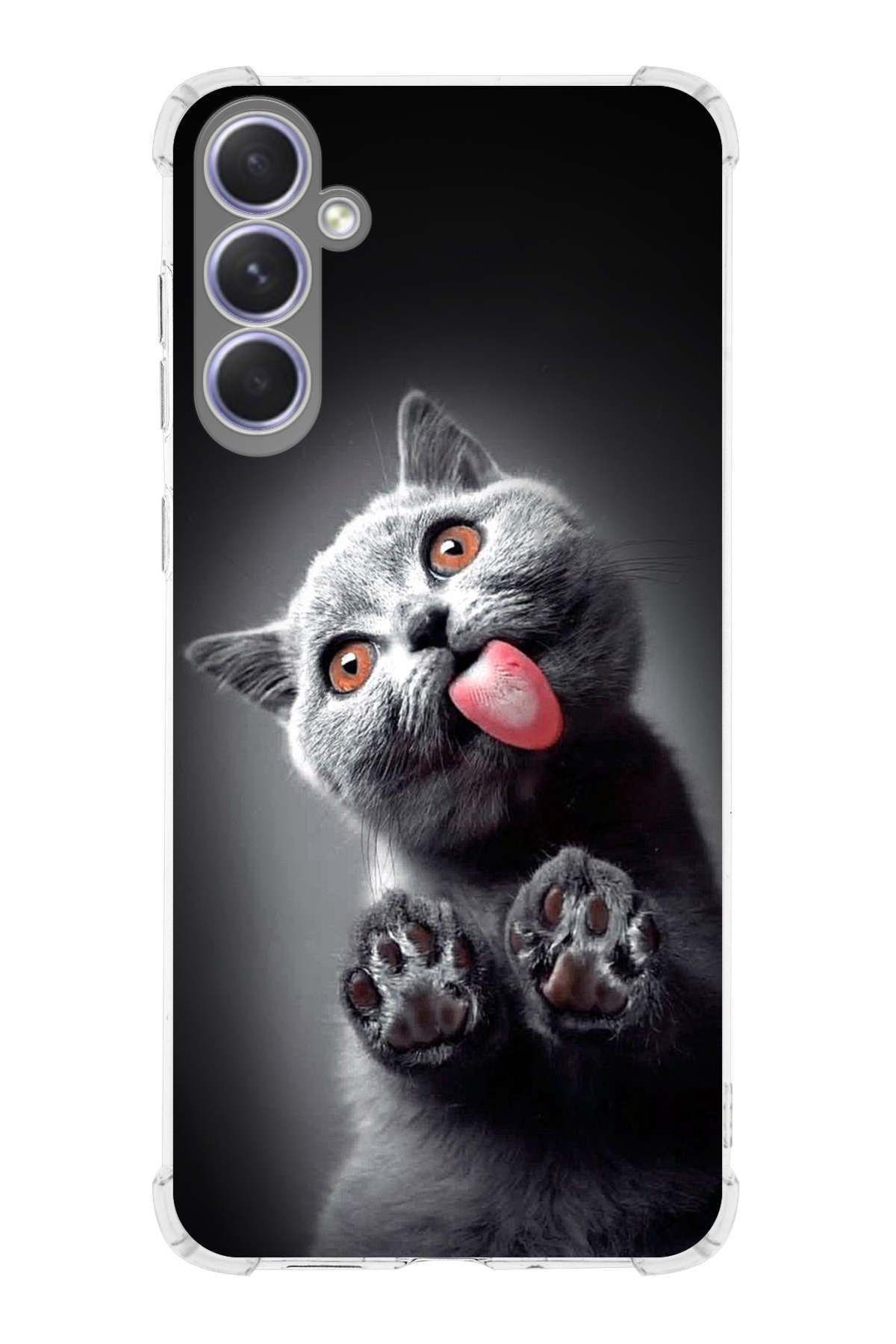 PrintiFy PrinriFy Samsung Galaxy A56 Uyumlu Kedi 2 Baskılı Şeffaf Köşe Korumalı Antişok Kılıf