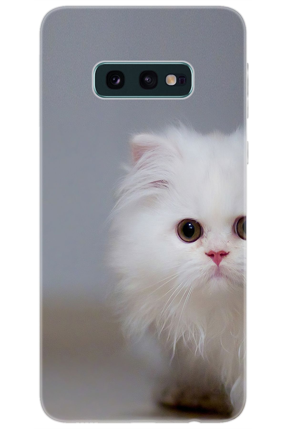 Ceppare Samsung Galaxy S10E (SM-G970F) Uyumlu Kılıf Desen Baskılı Silikon Beyaz Kedi STK:139 CP-PbGupWZ