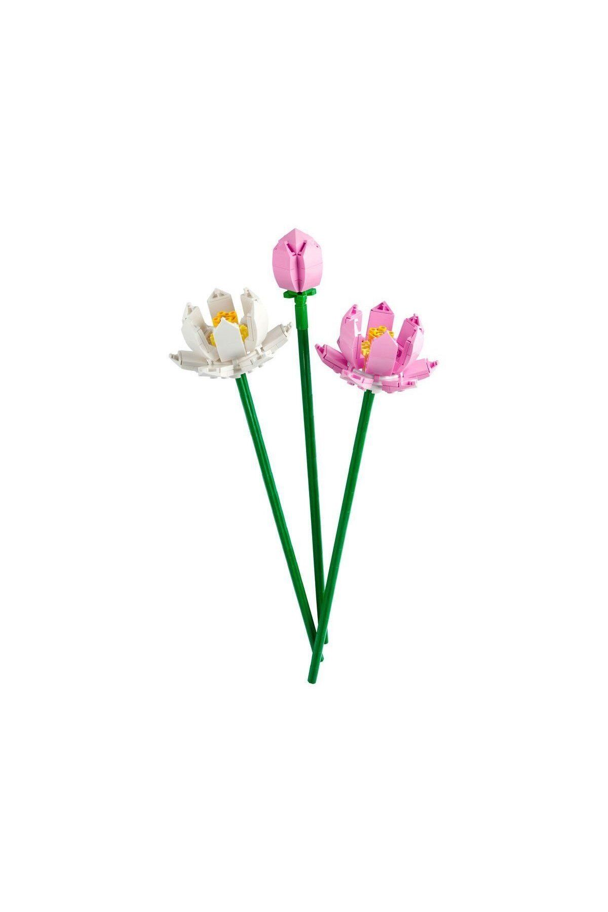 swilex 40647 ® iconic Botanical Collection Lotus Çiçekleri 220 parça +8 yaş