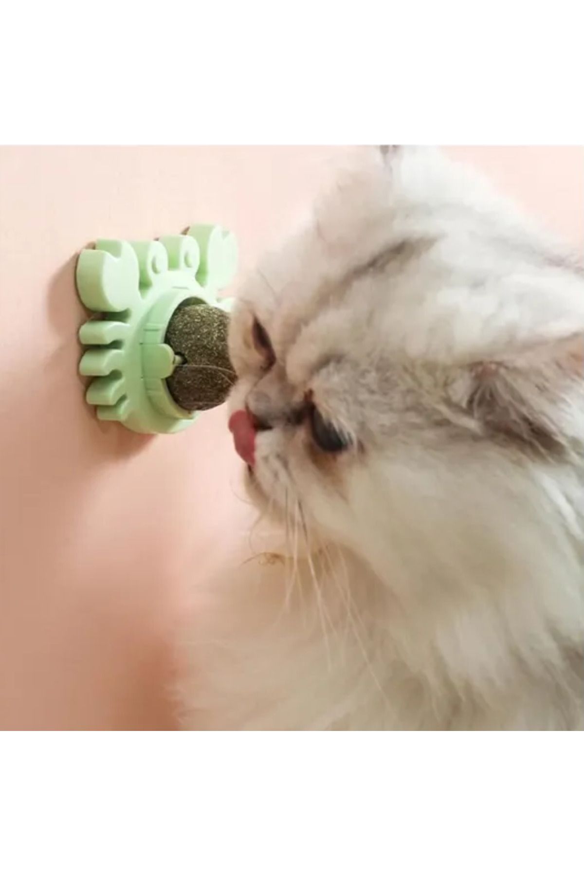 Allproduct Yengeç Kedi Otu Oyun Topu