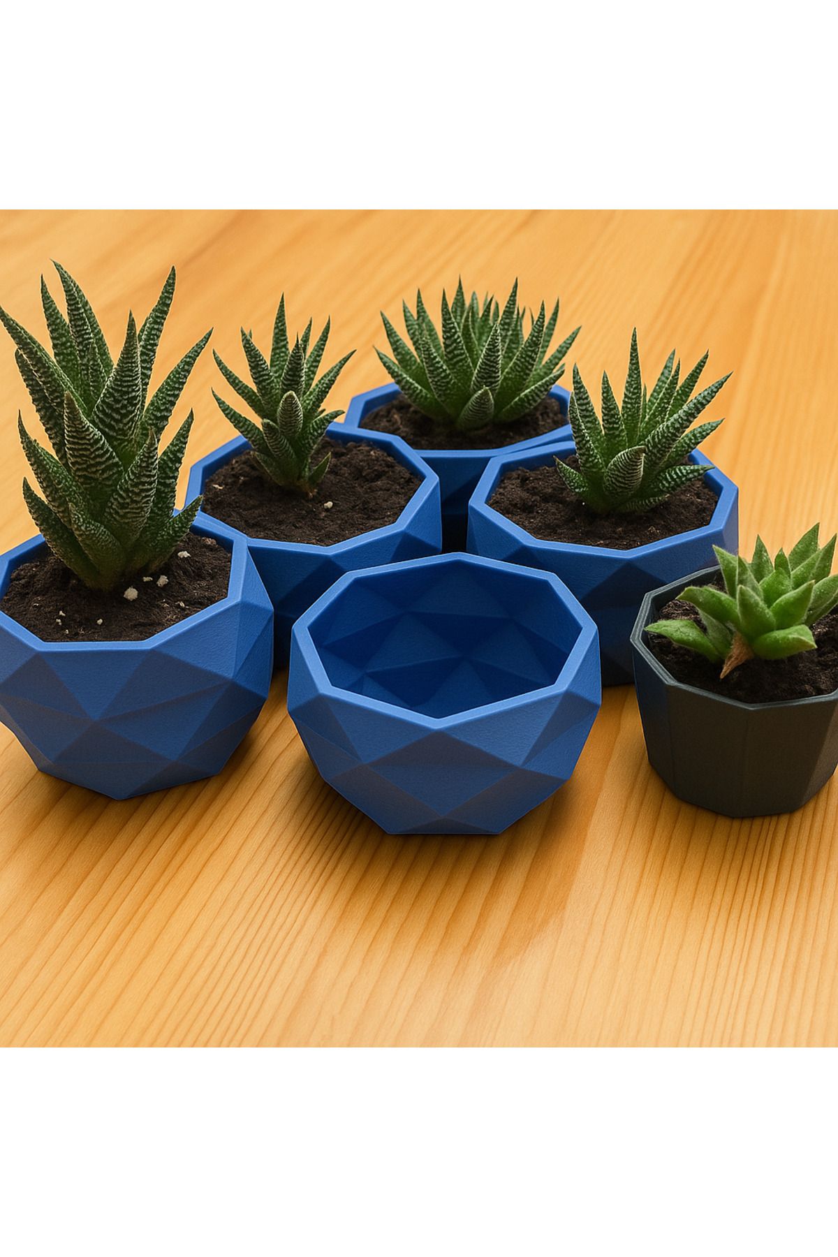 Dekoratif Geometrik Sukulent Saksısı – Modern Tasarım