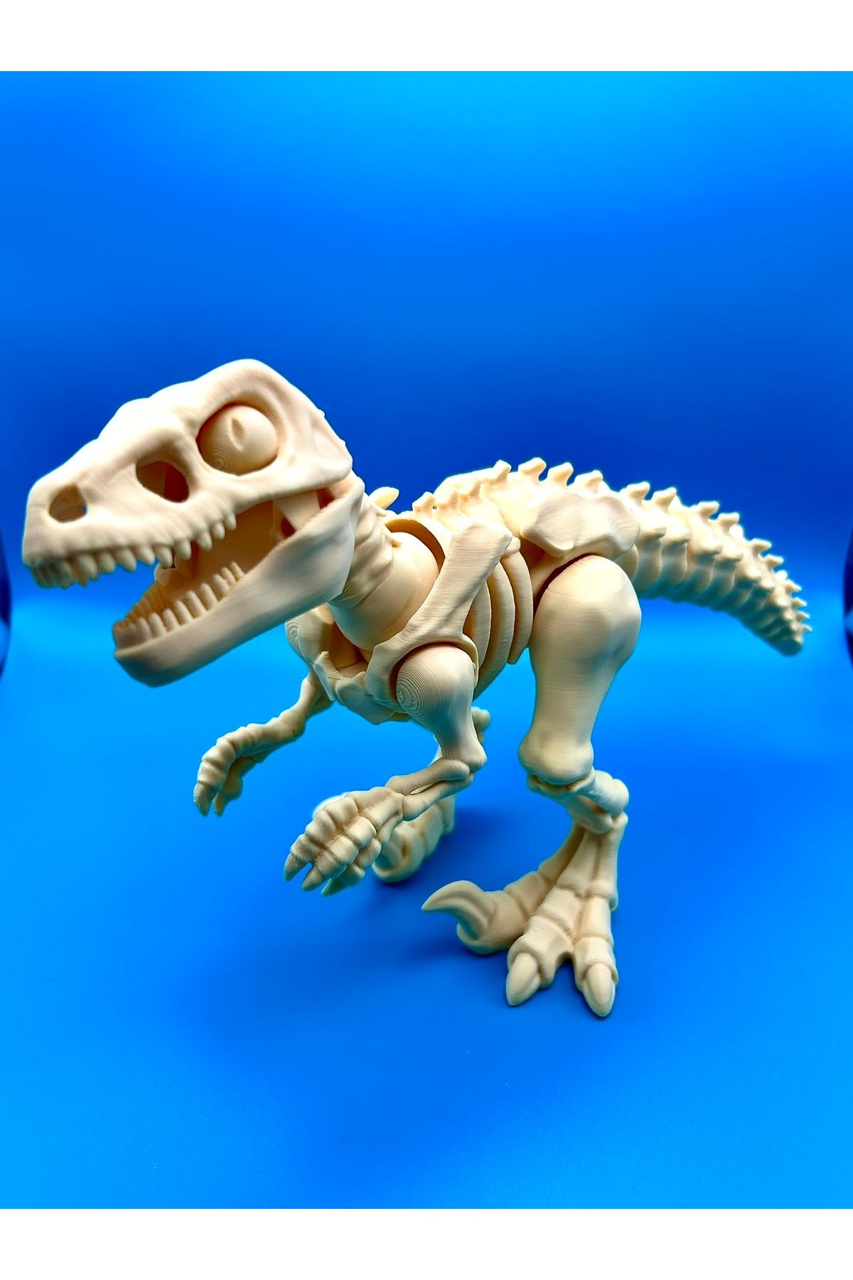 asya butik Dinozor Oyuncağı, Gerçekçi Velociraptor Modeli - Büyük Boy