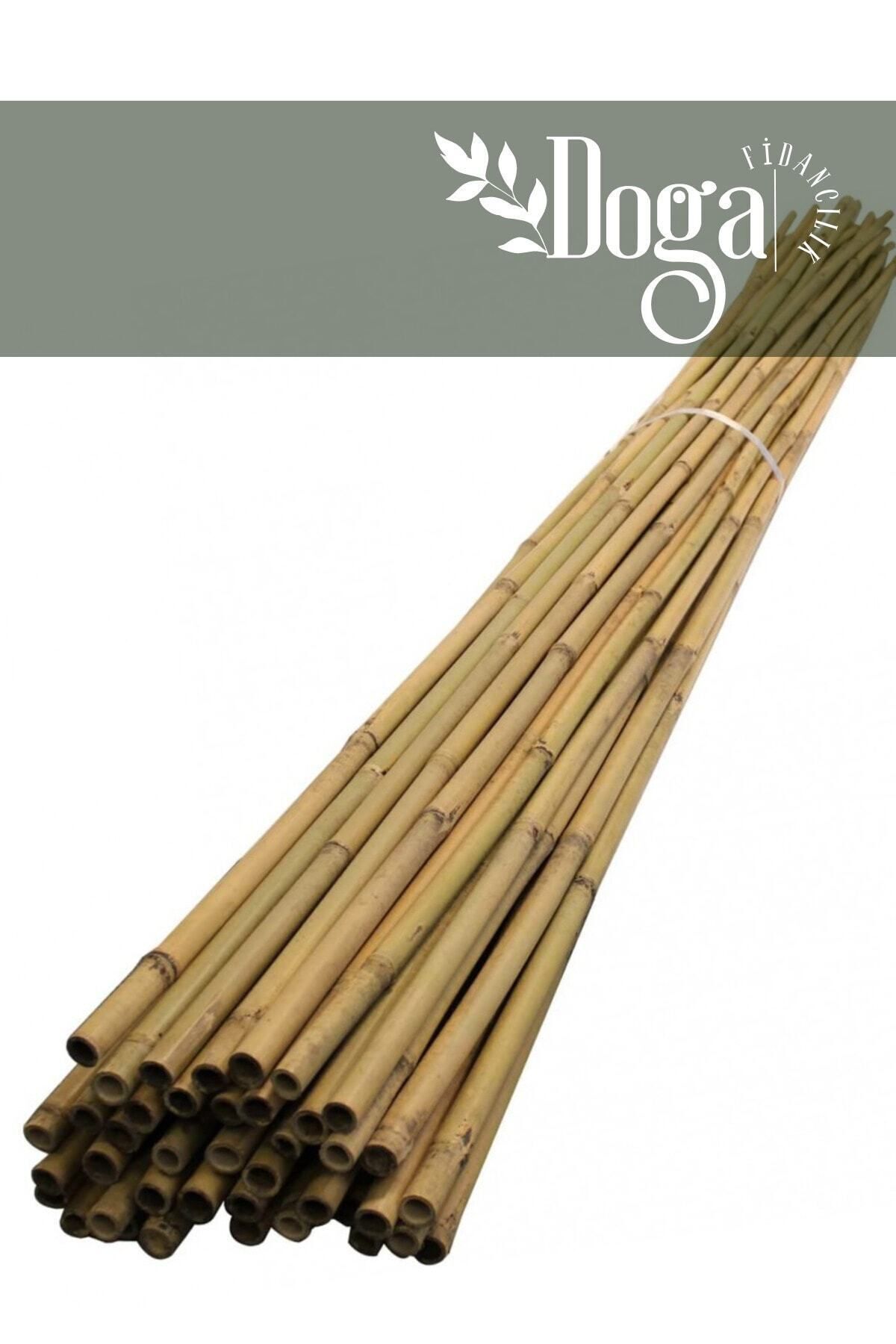 DOĞA FİDANCILIK 20 Adet Bambu Bitki Fidan Destek Çubuğu 1,5 Metre