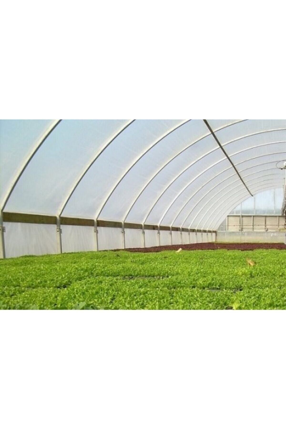 Msr 36 Aylık 350 Mikron Sera Naylonu 1. Kalite (6 Metre X 3 Metre)