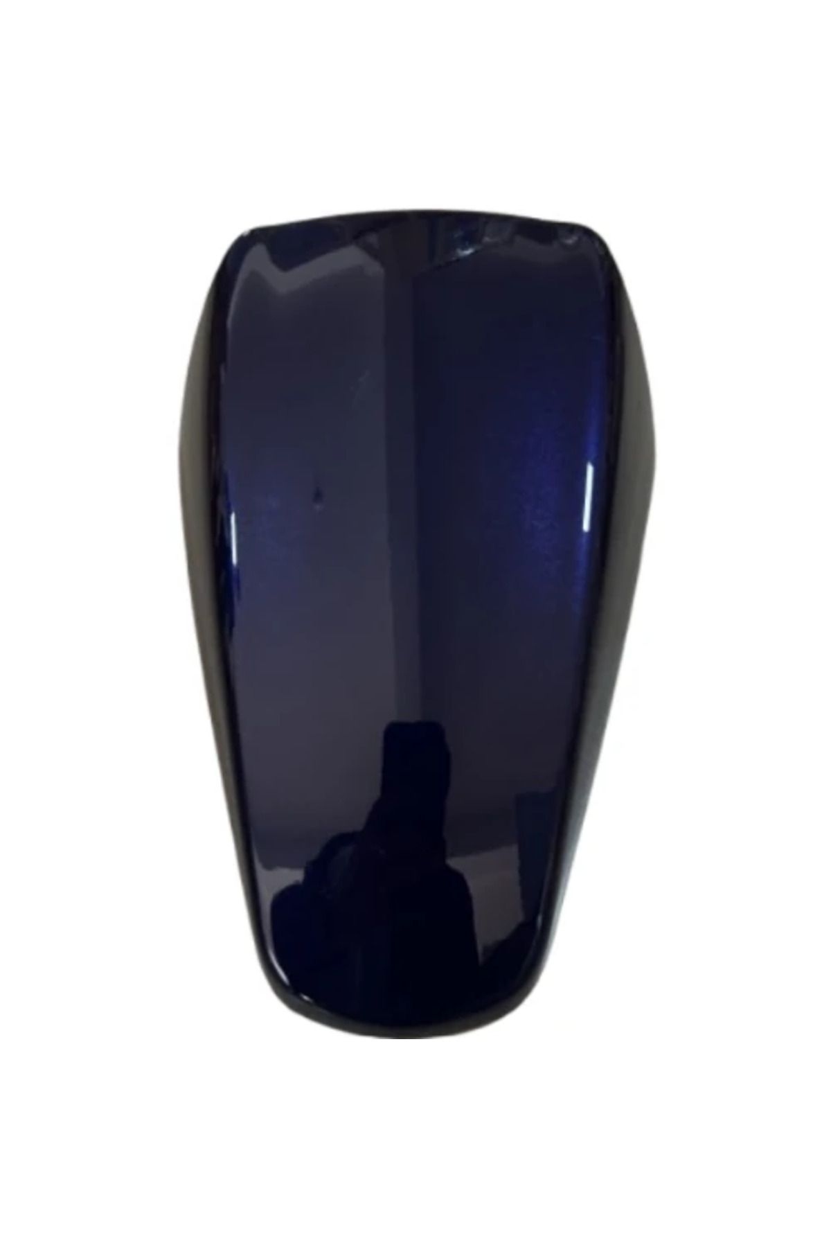 TÜRKMOPET TVS Raider 125 Ön Çamurluk Mavi