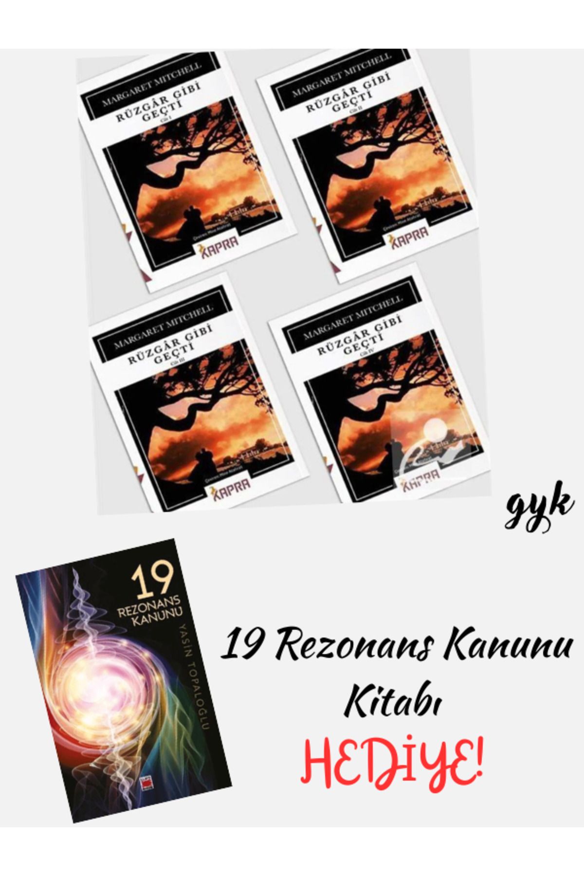 Elips Kitap Rüzgar Gibi Geçti (4 Cilt) ve 19 Rezonans Kanunu (HEDİYE!)