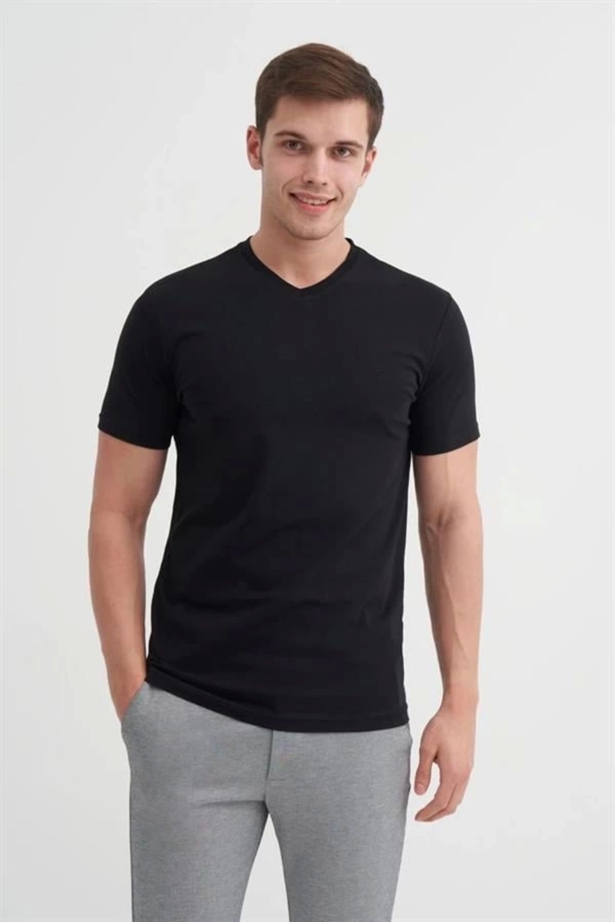 Lale Moda 4624 Basıc V Yaka Erkek T-Shirt Siyah