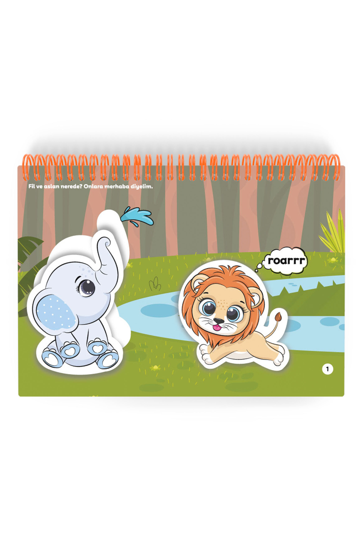 Çocuk Akademi Yeni Doğan Paketi fotoğrafı 2 (önizleme)