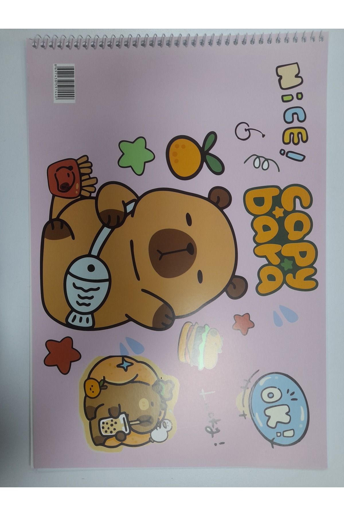 anonim Capybara 25x35 spralli resim defteri
