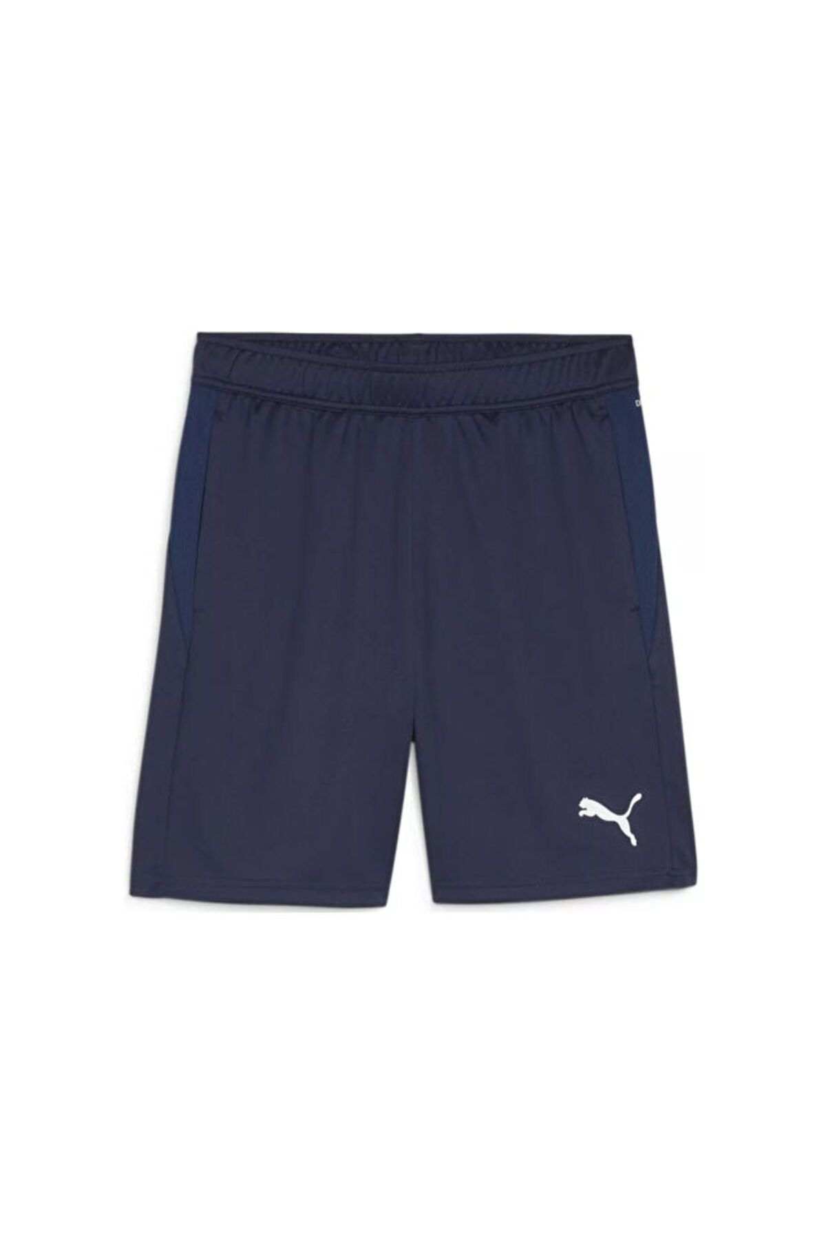 Puma Teamgoal Training Short Erkek Futbol Antrenman Şortu 65864306 Lacivert