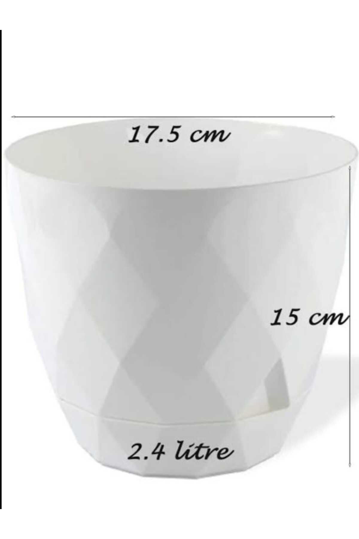 AYIŞIĞI AVM SAKSI 1SDET 2,4L