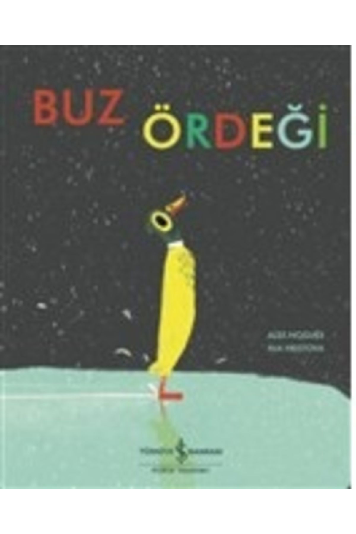 Destek Yayınları Buz Ördeği