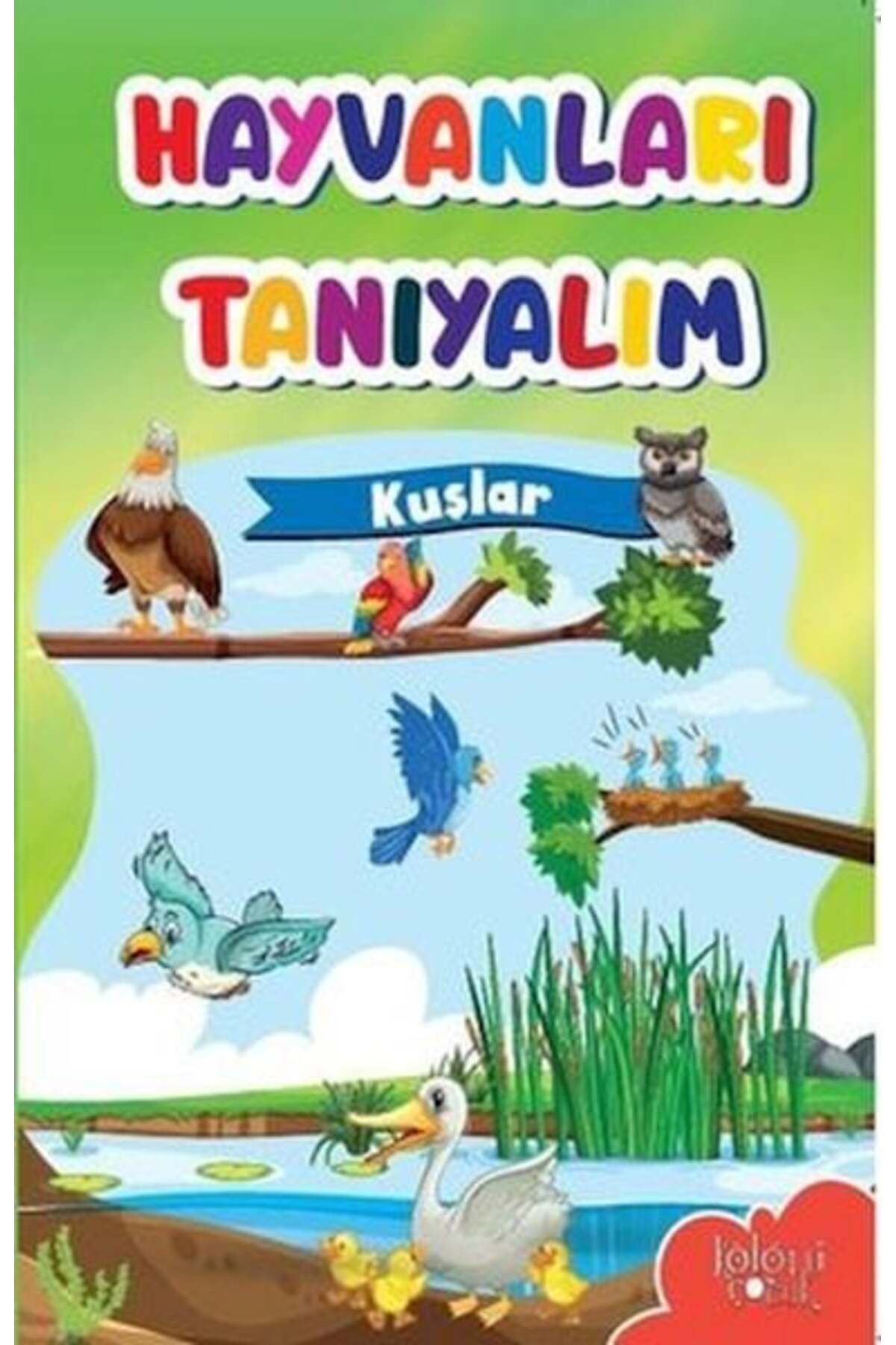 Destek Yayınları Muhteşem Çizimler ve Kolay Anlatım ile Hayvanları Tanıyalım Kuşlar