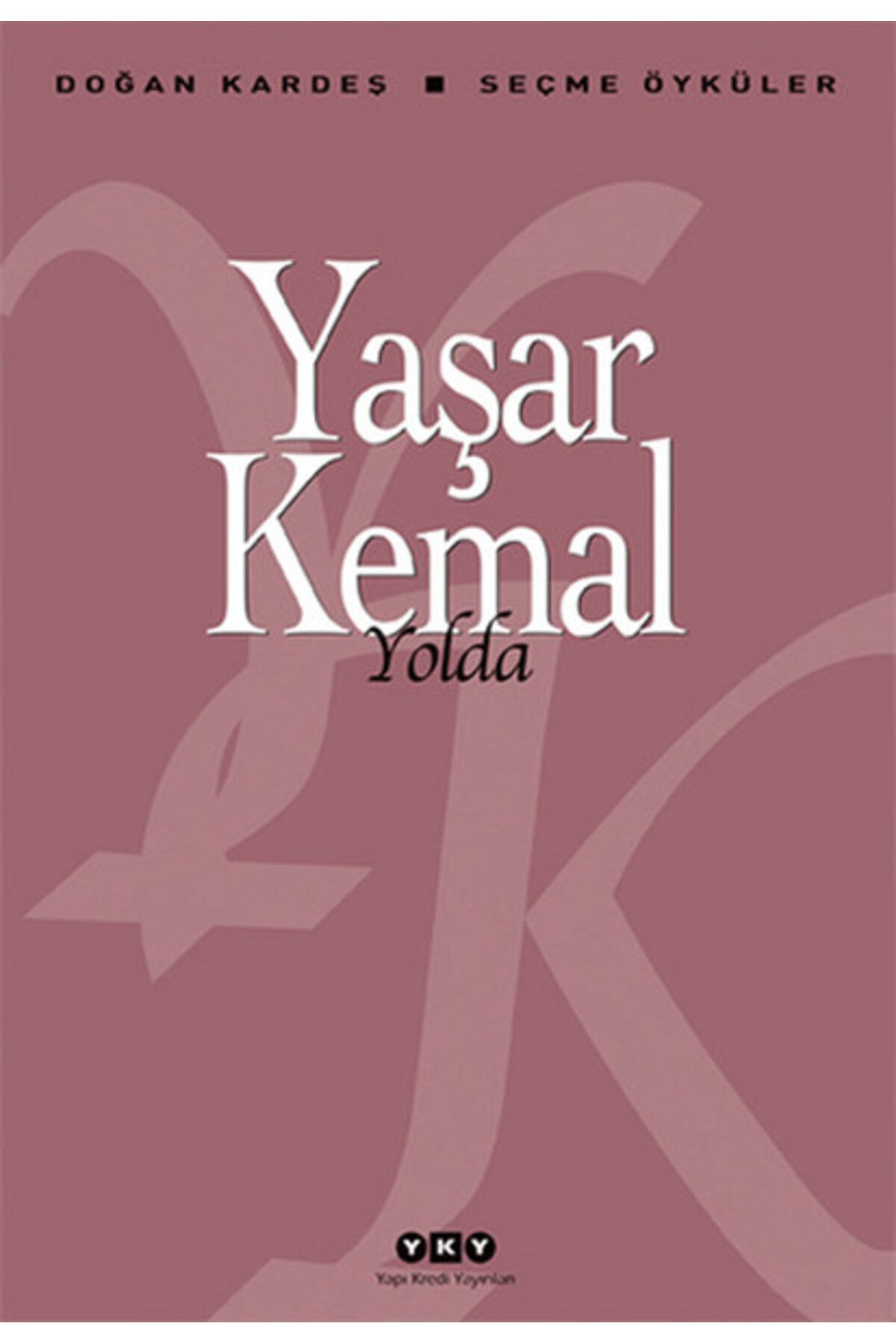 Destek Yayınları Yolda Seçme Öyküler