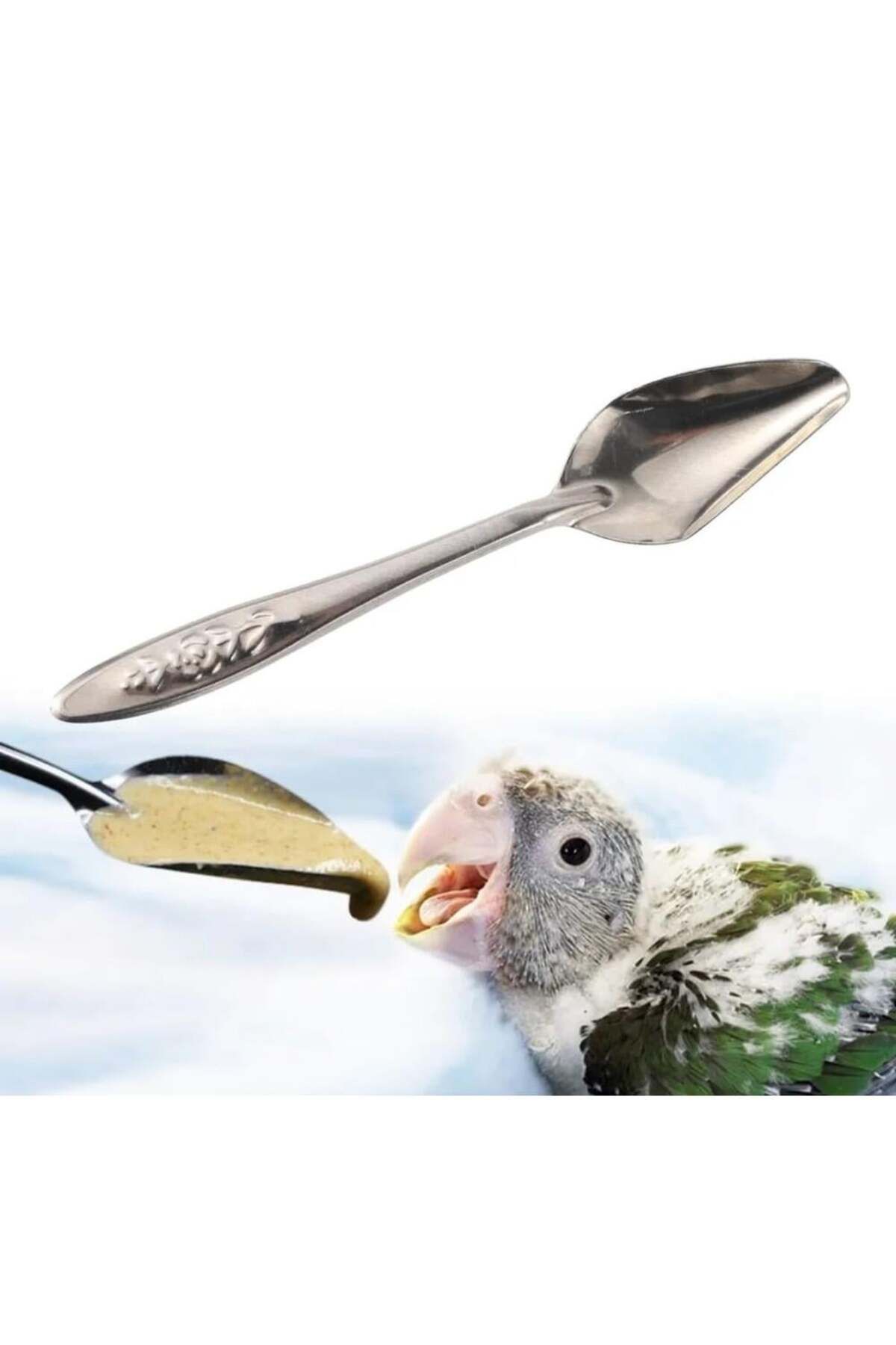 HEPSİ KUŞLAR İÇİN El Besleme Kaşığı