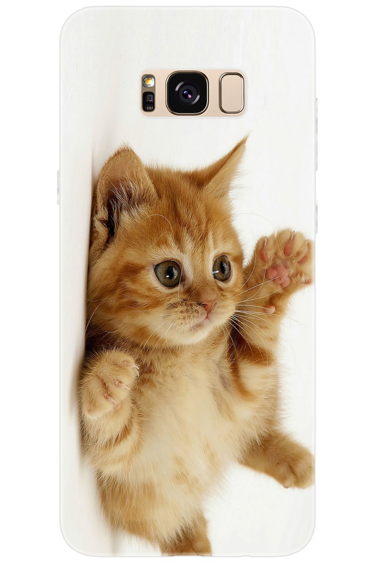 Ceppare Samsung Galaxy S8 PLUS (SM-G955F) Uyumlu Kılıf Desen Baskı Silikon Sevimli Kedi STK:205 CP-XY7AUwp