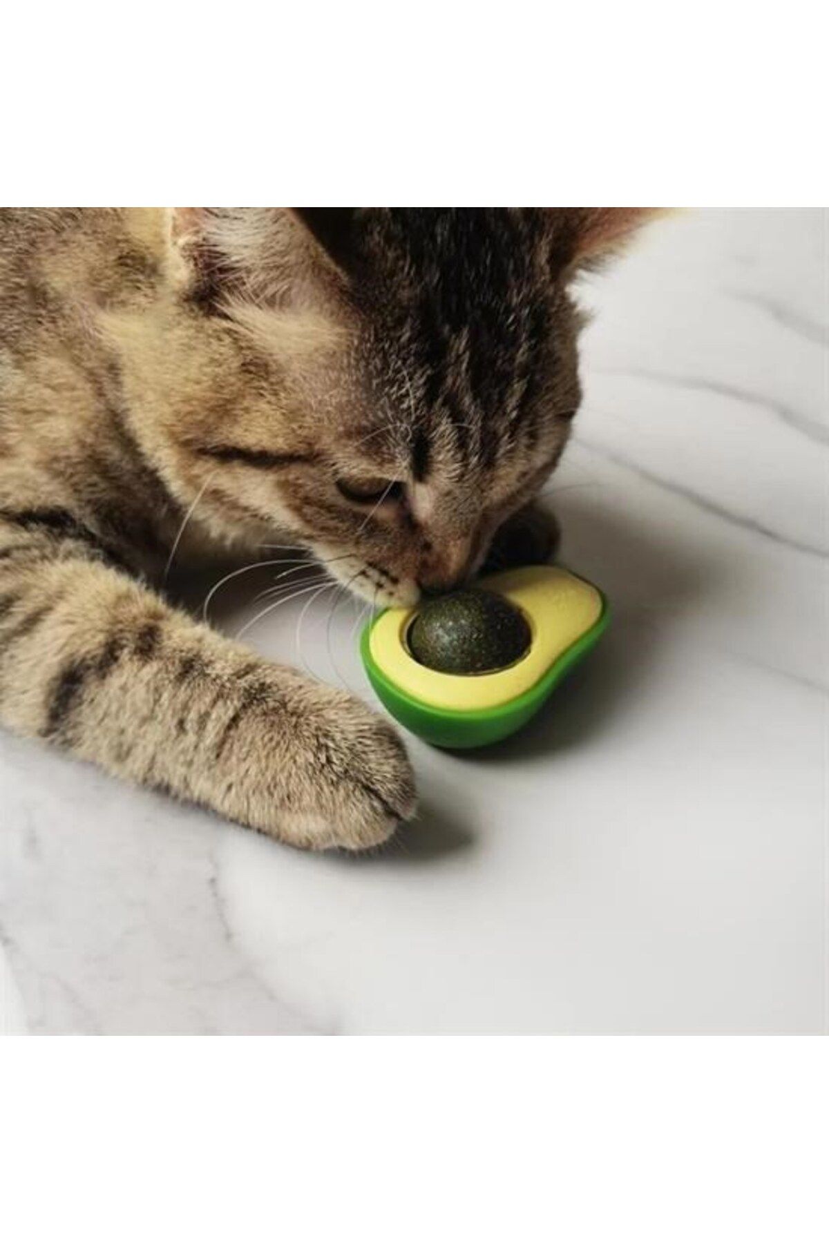ForWhat Büro Ev Evcil Hayvanı için Yapışkanlı Yenilir Avakado Nane Otu Kedi Oyun