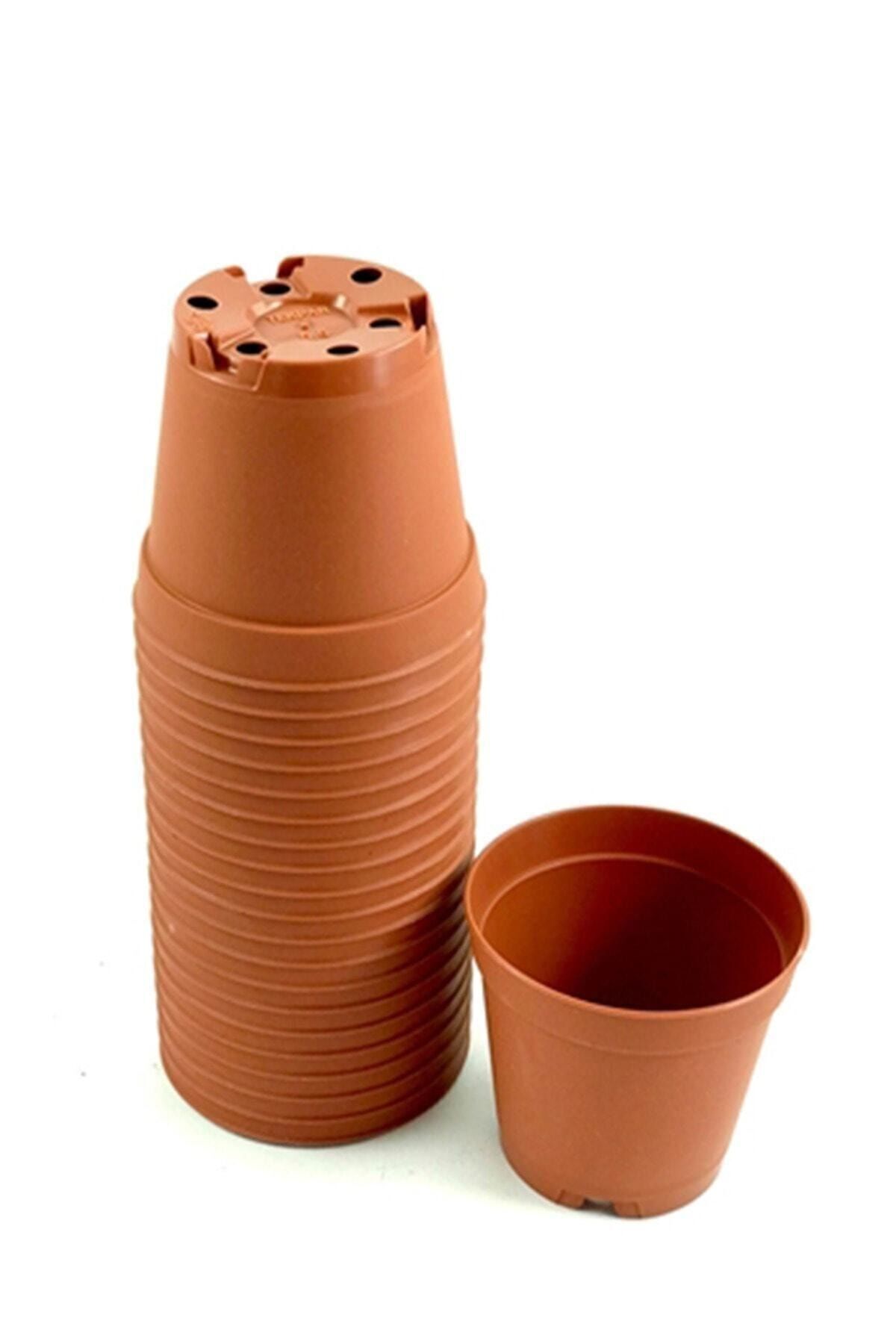 SERİNOVA Kaktüs & Sukulent Üretim Saksı 5,5 Cm 100 Adet