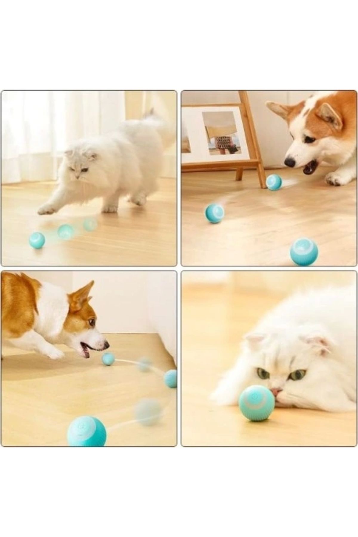 ShopNova İnteraktif Kedi Köpek Şarjlı Oyun Topu